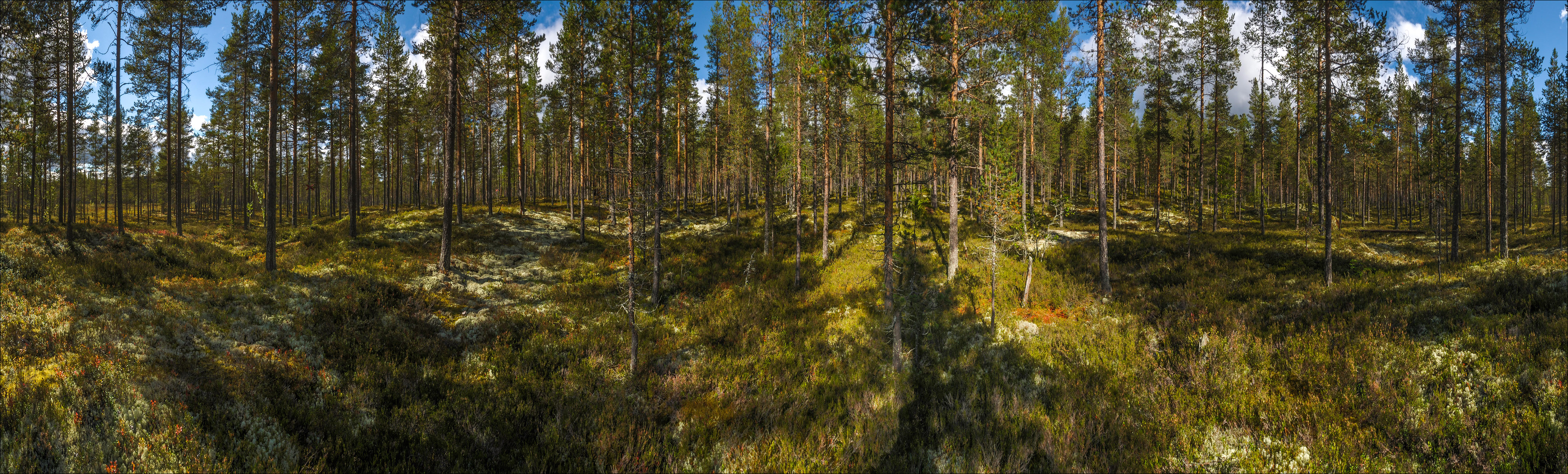 Mittendrin