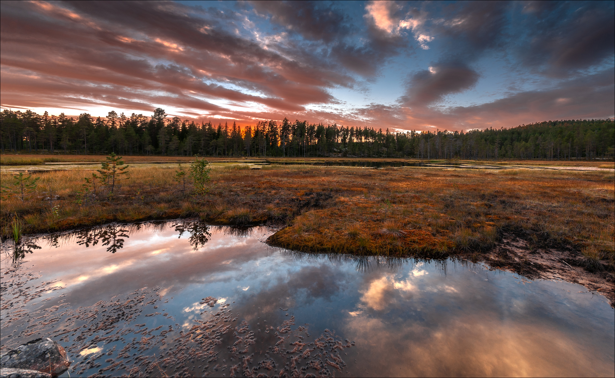 nomoi Moorlandschafd