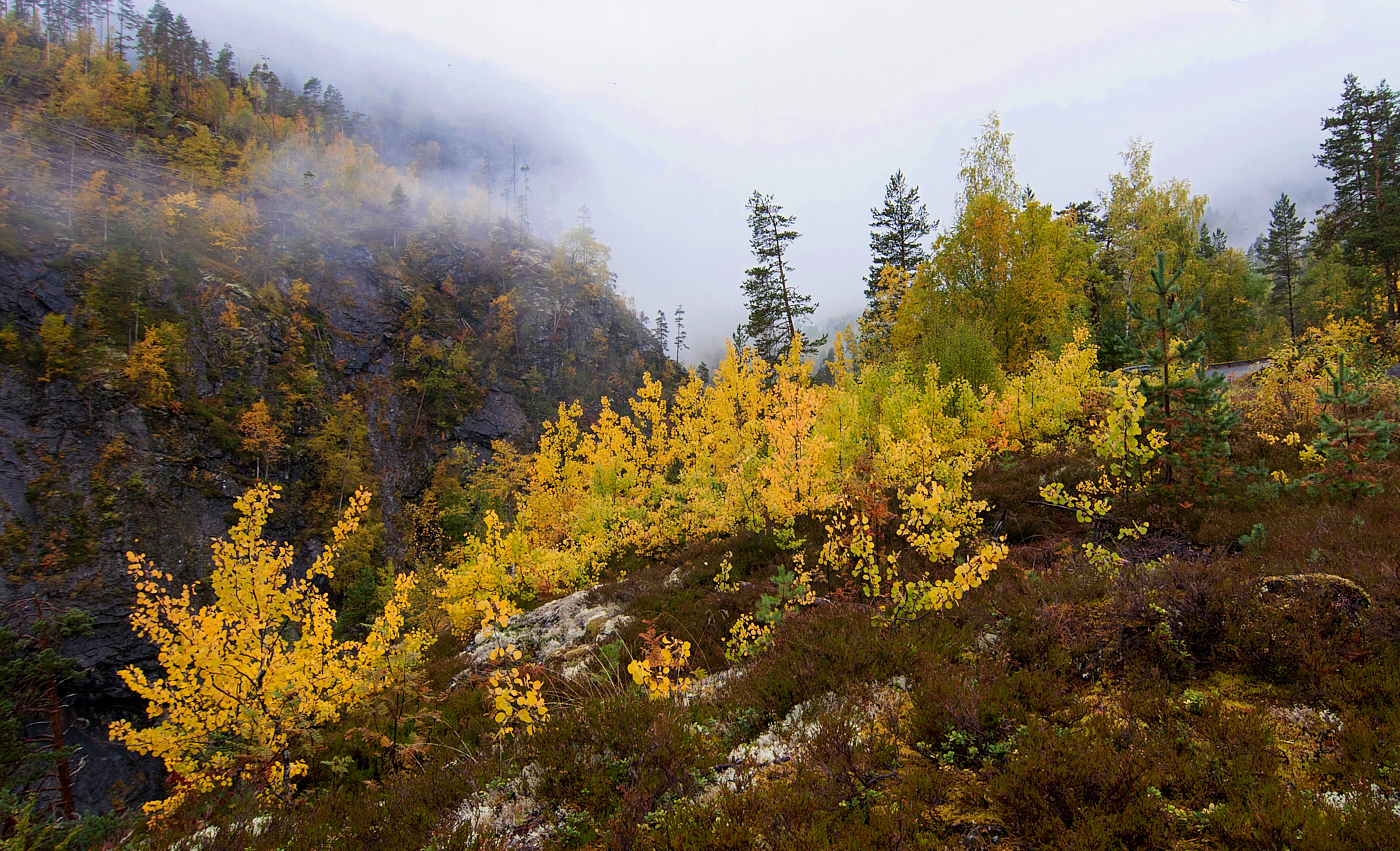 Herbst in Norwegen