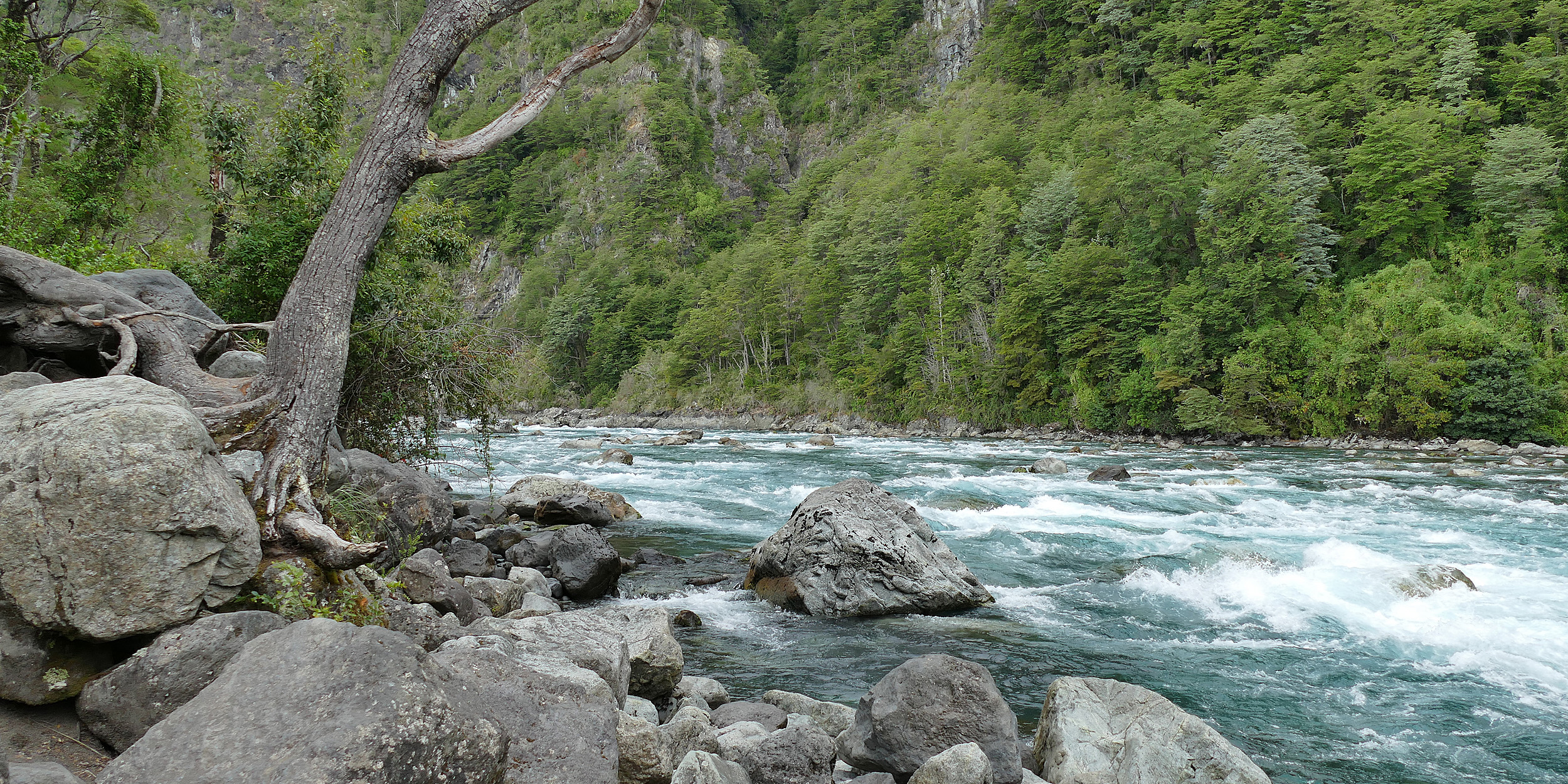 An türkisfarbenen Wassern