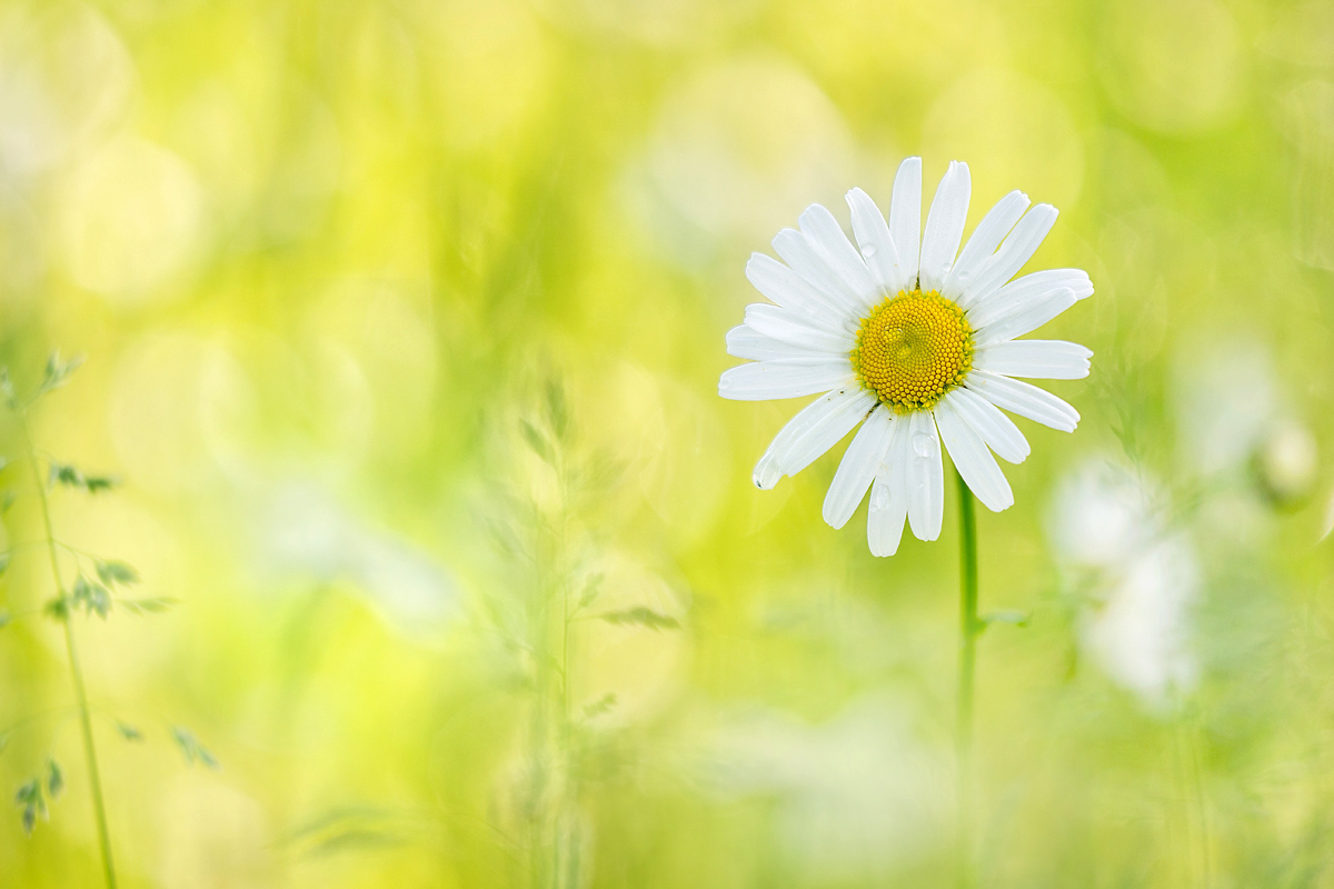 Als noch Sommer war....