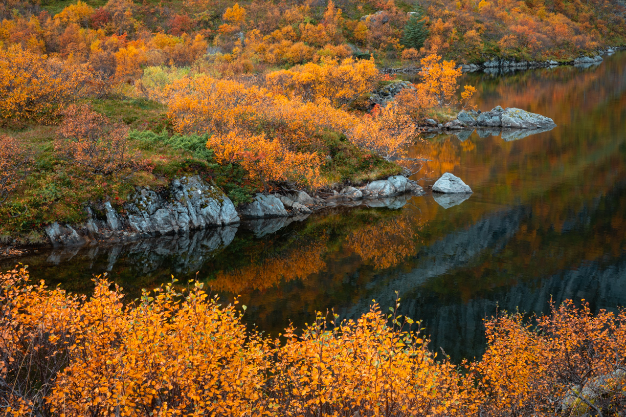 Herbstfarben in Norwegen