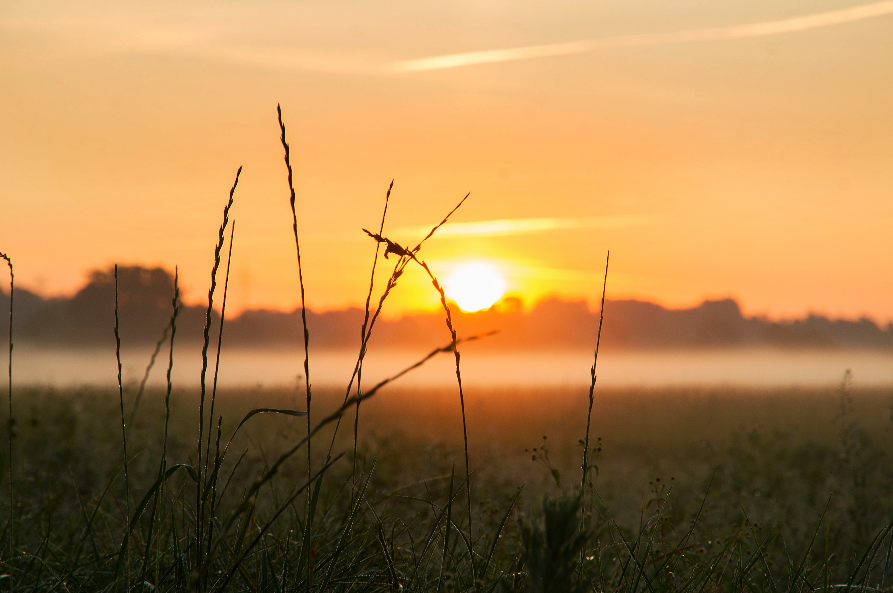 Sonnenaufgang im Nebel