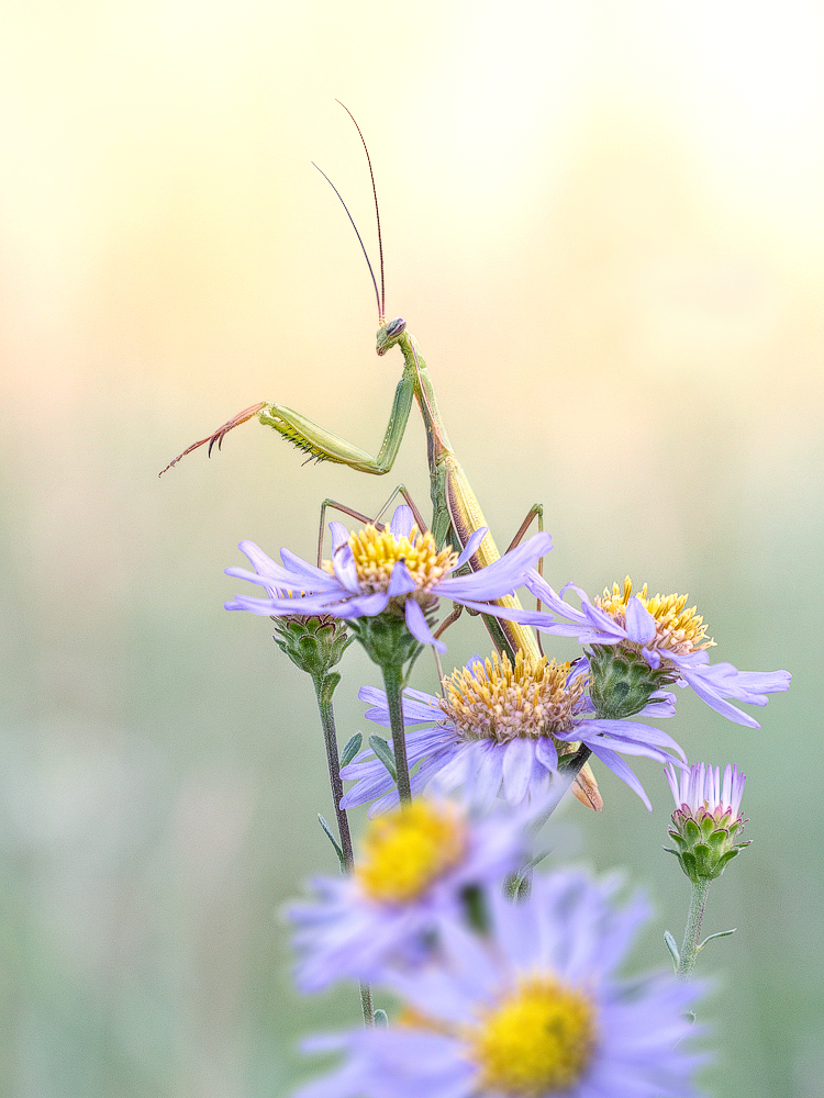 Spätsommerliche Grüße