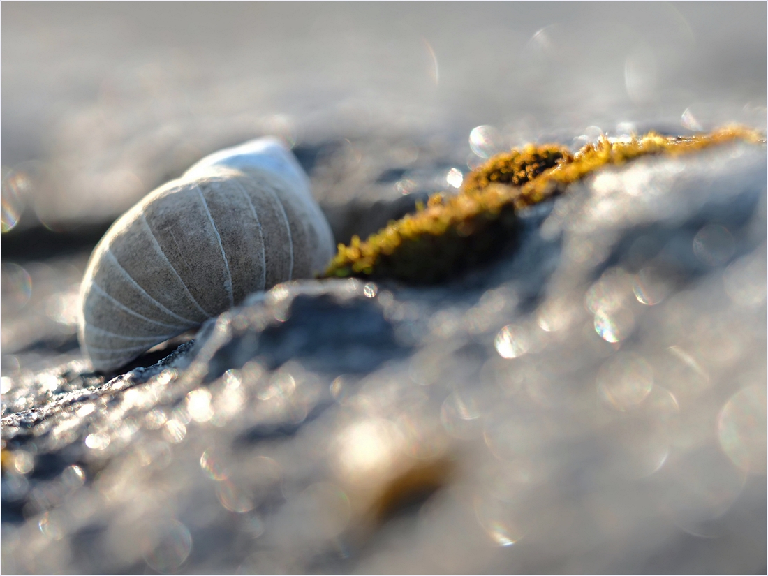 trendiges Streifendesign