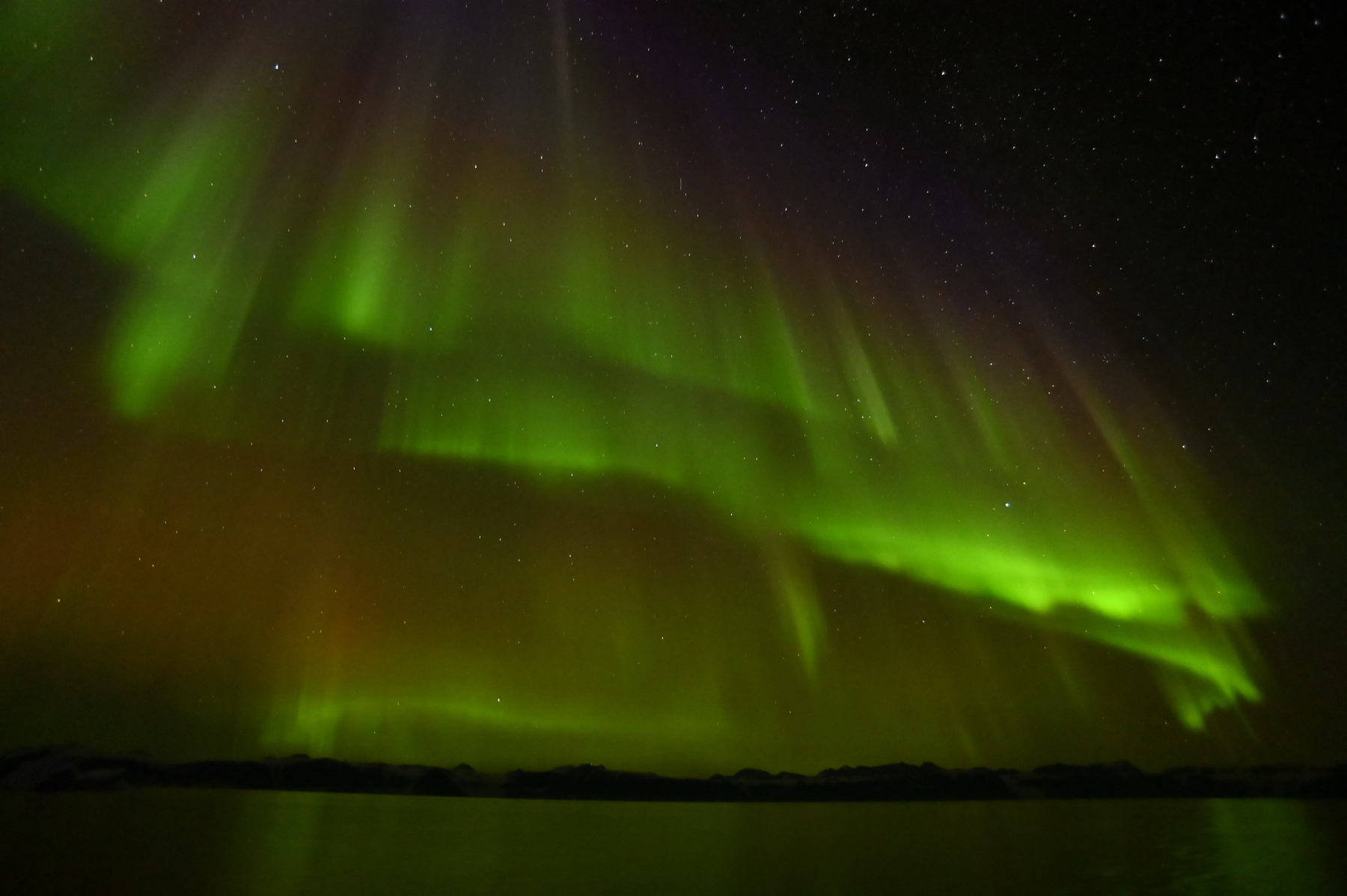 Aurora voraus...