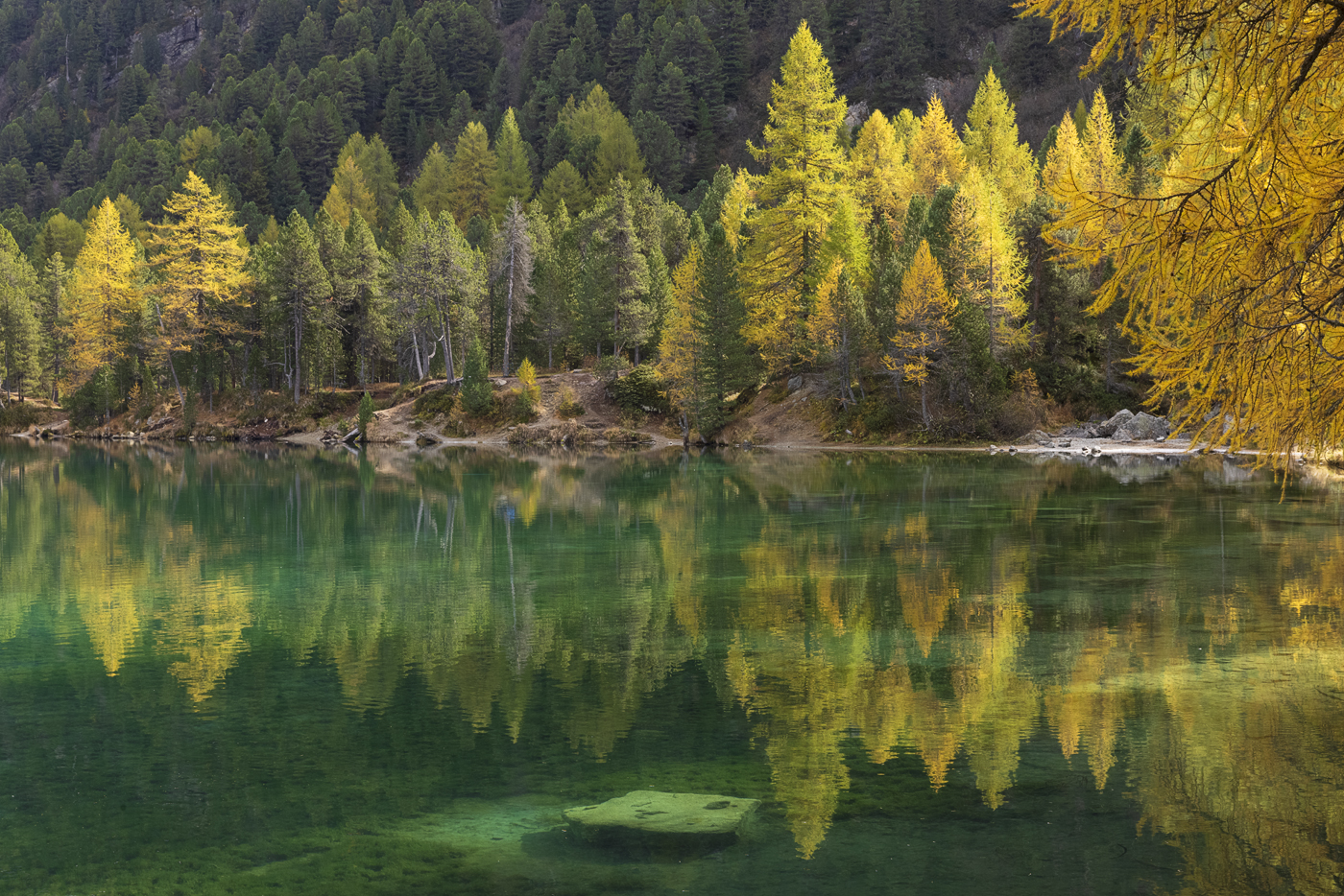 Palpuognasee im Herbst