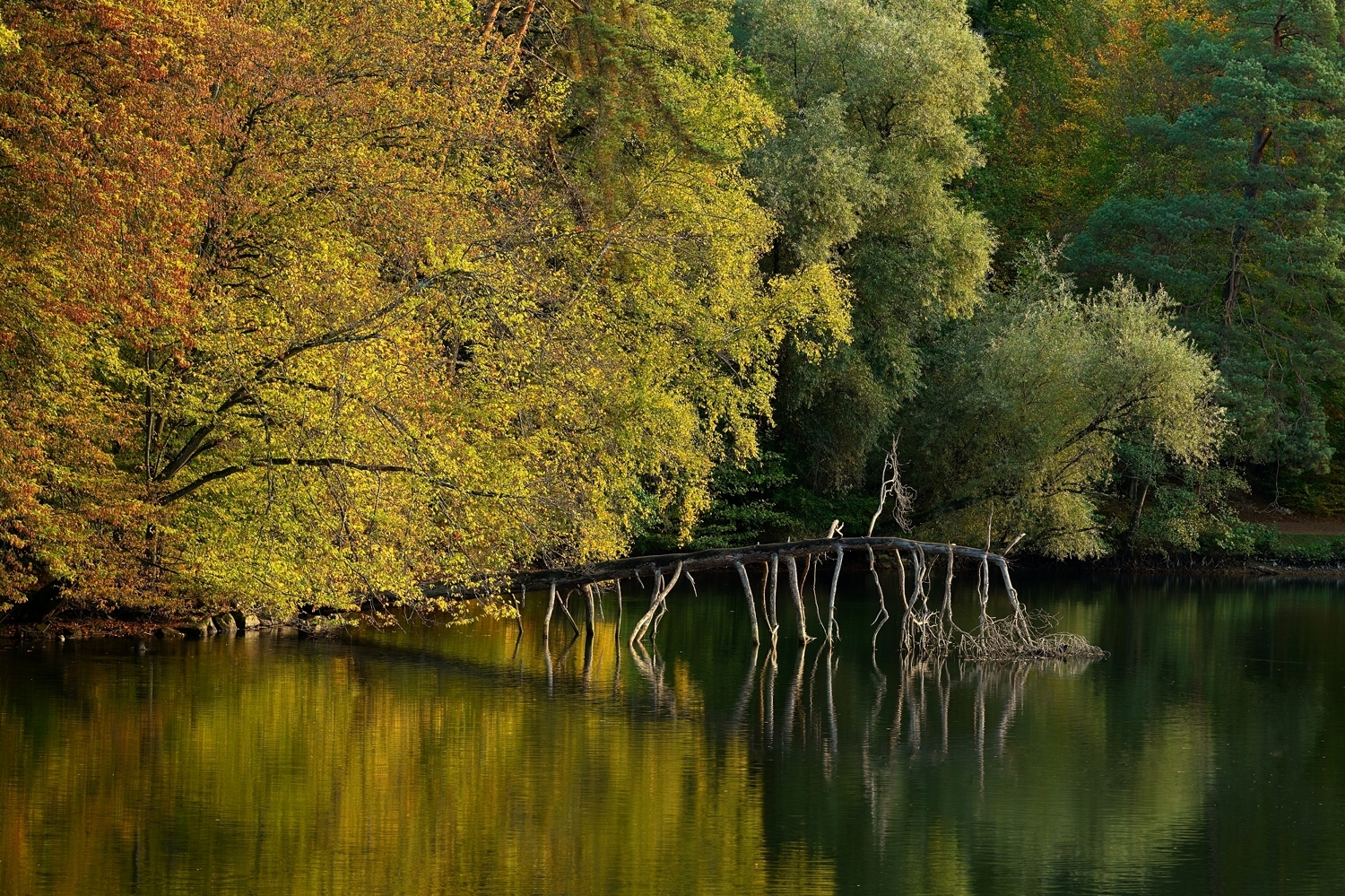 Bärensee