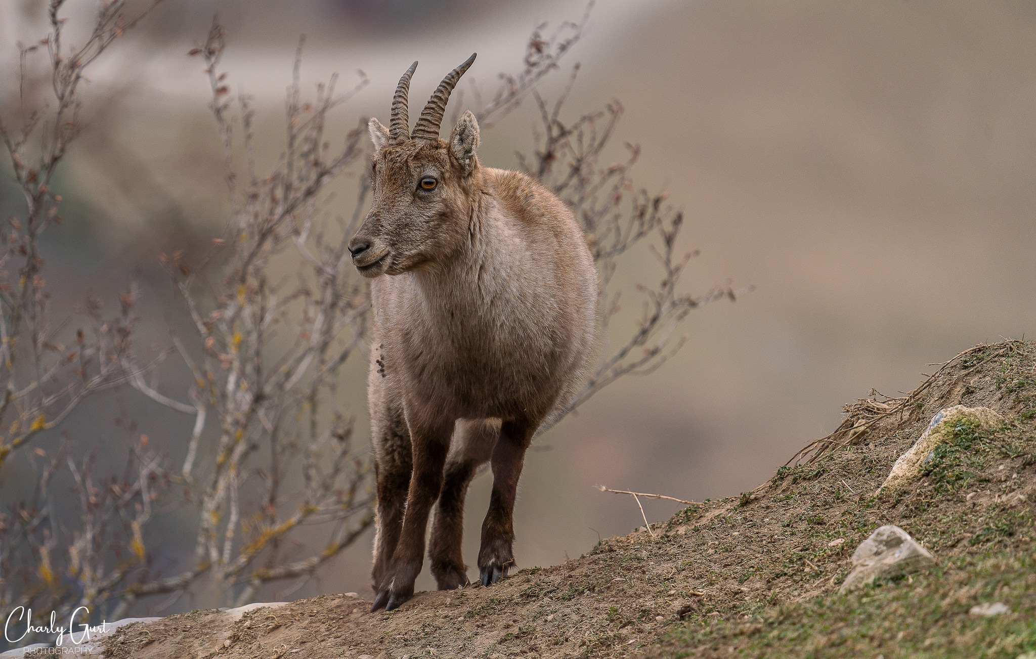 Model  im Alpengebirge