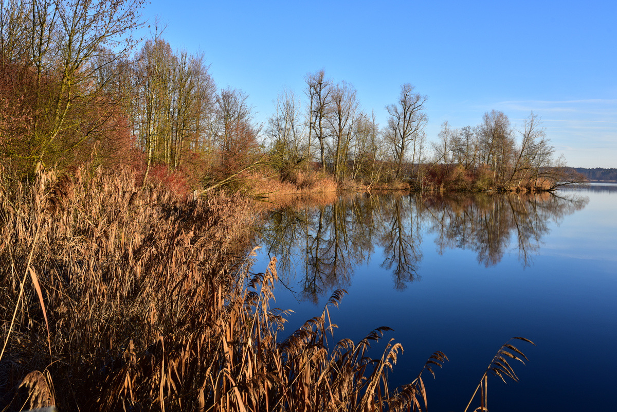 Herbst am Waginger See