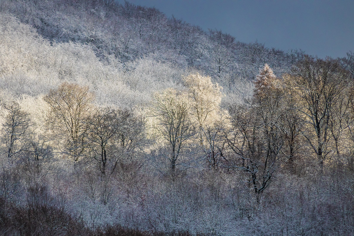 Erster Schnee am Berg