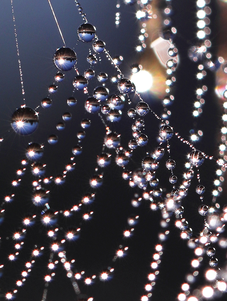 Zum 1. Advent