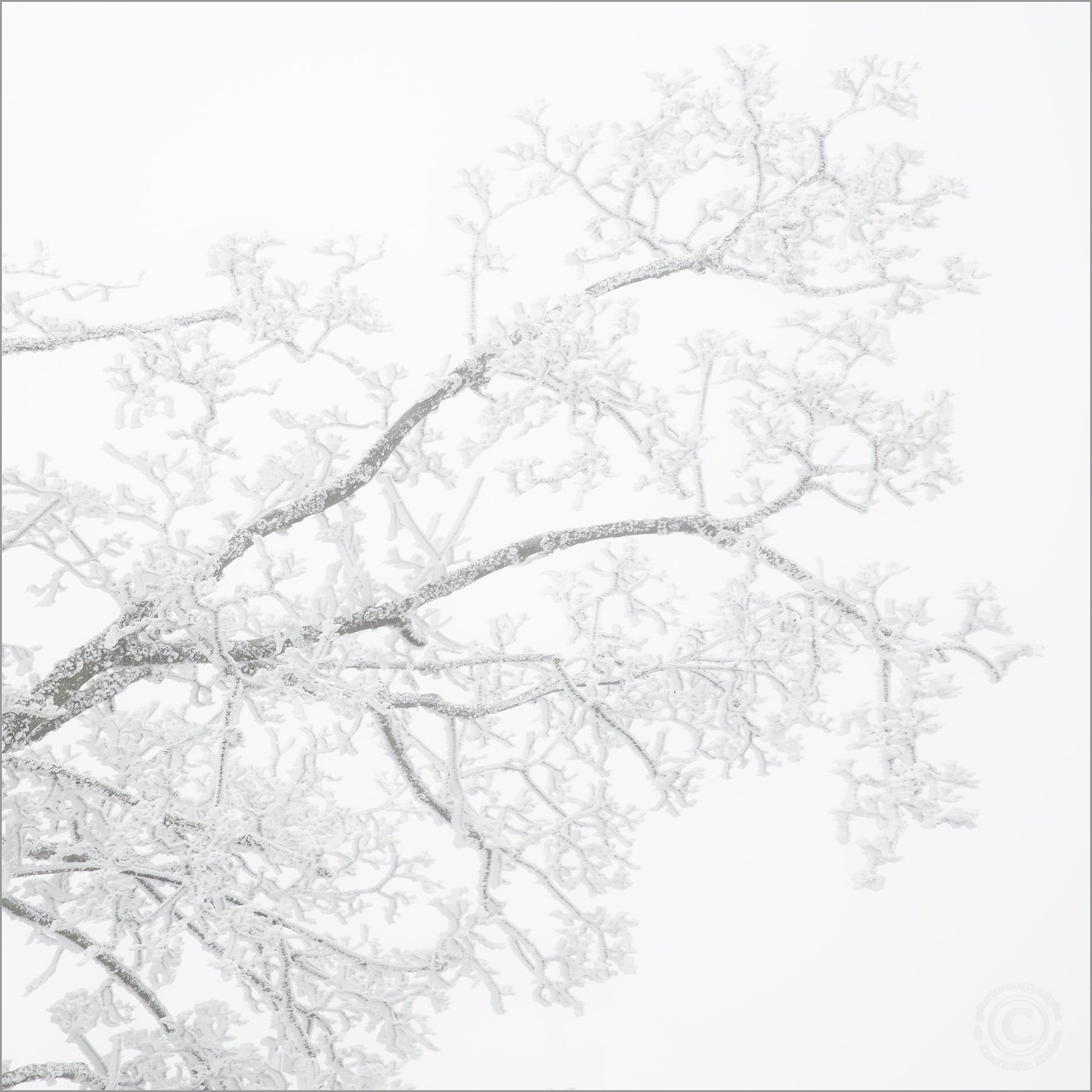 Winterimpression