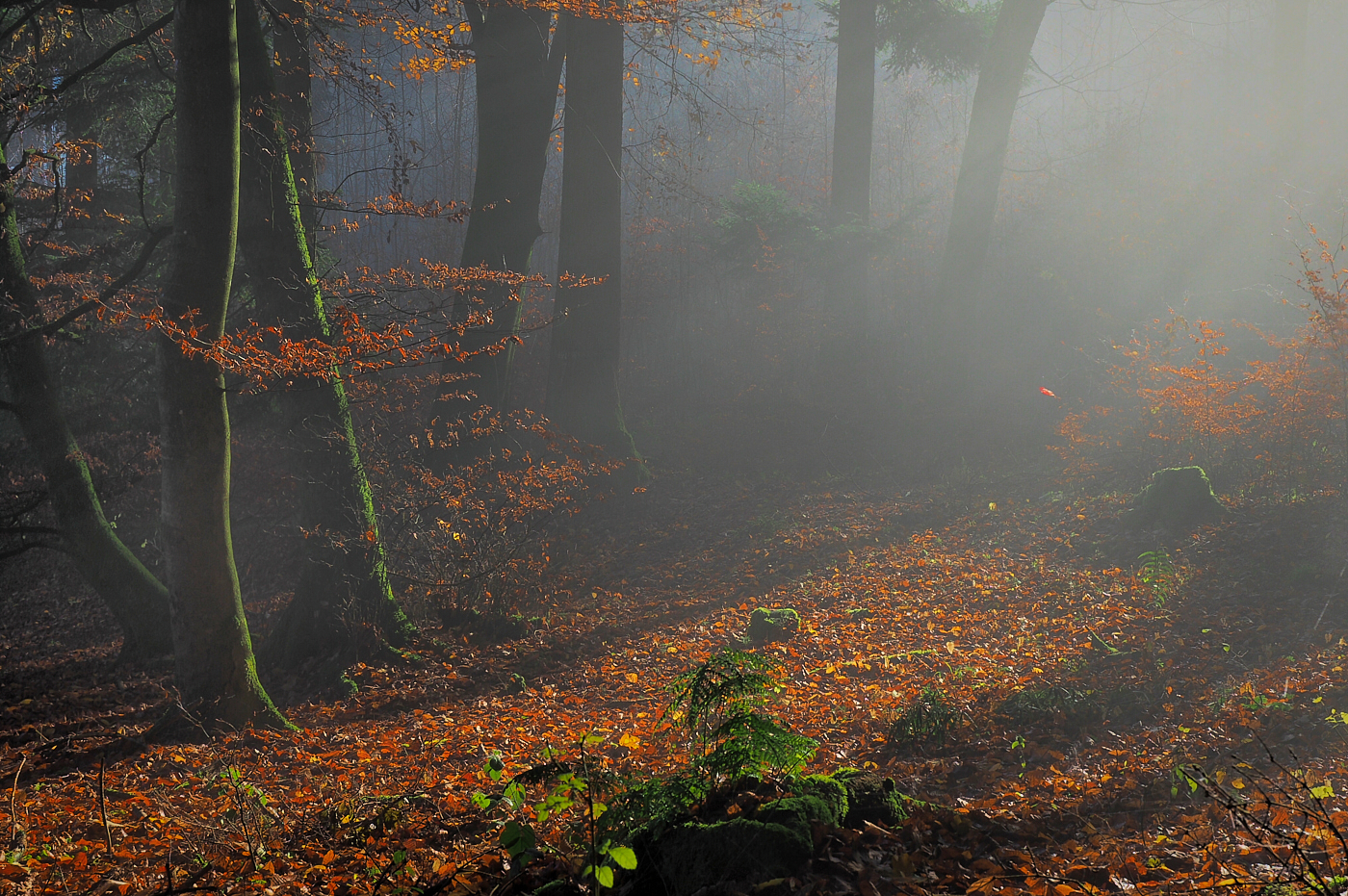 Ende des Herbstes