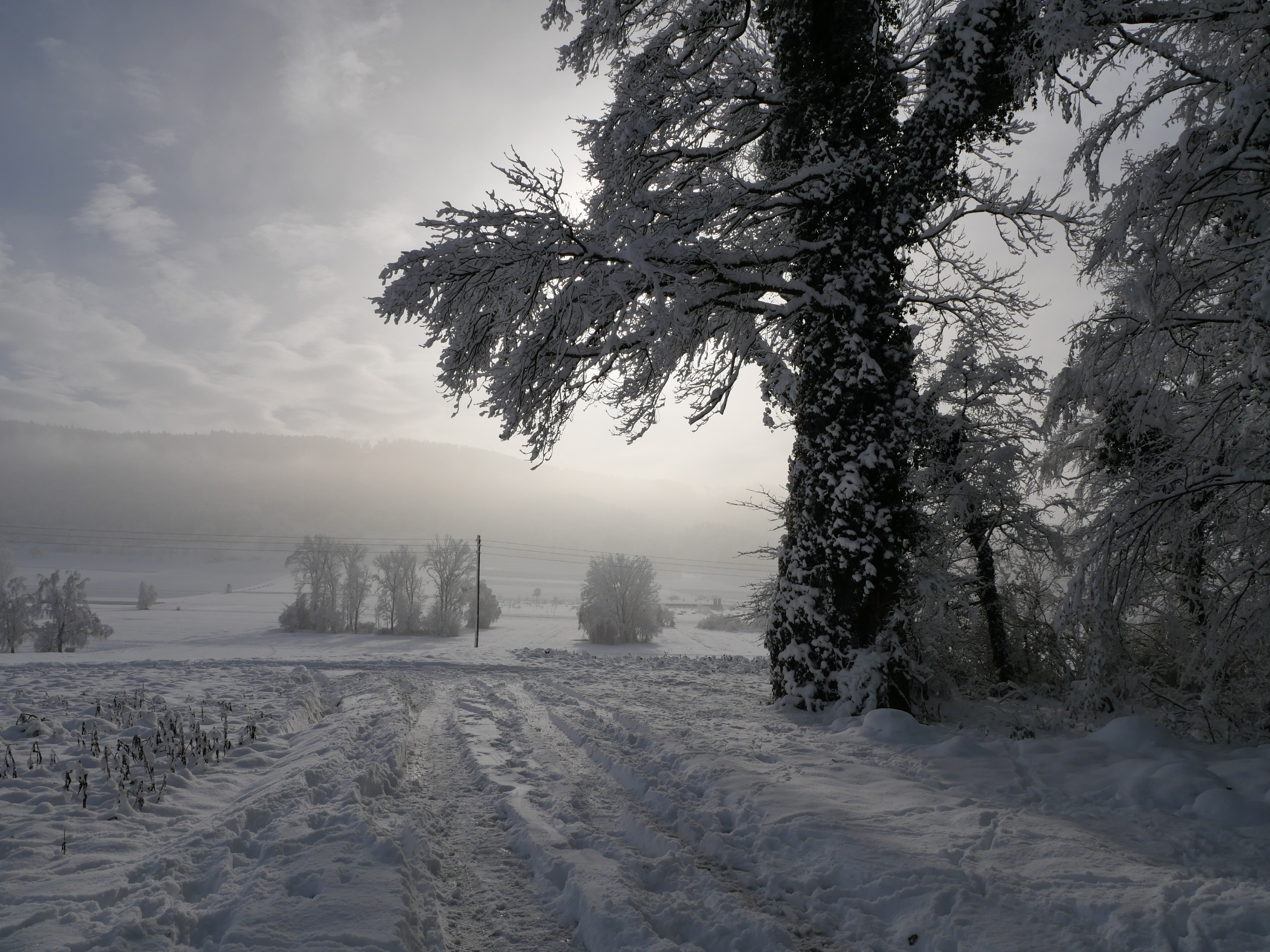 Winterlandschaft