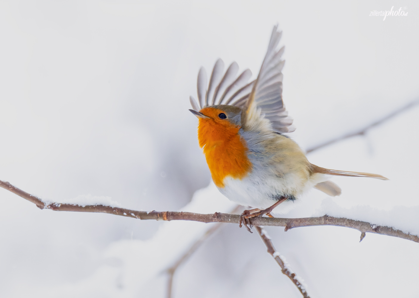 Hurra es hat geschneit .......