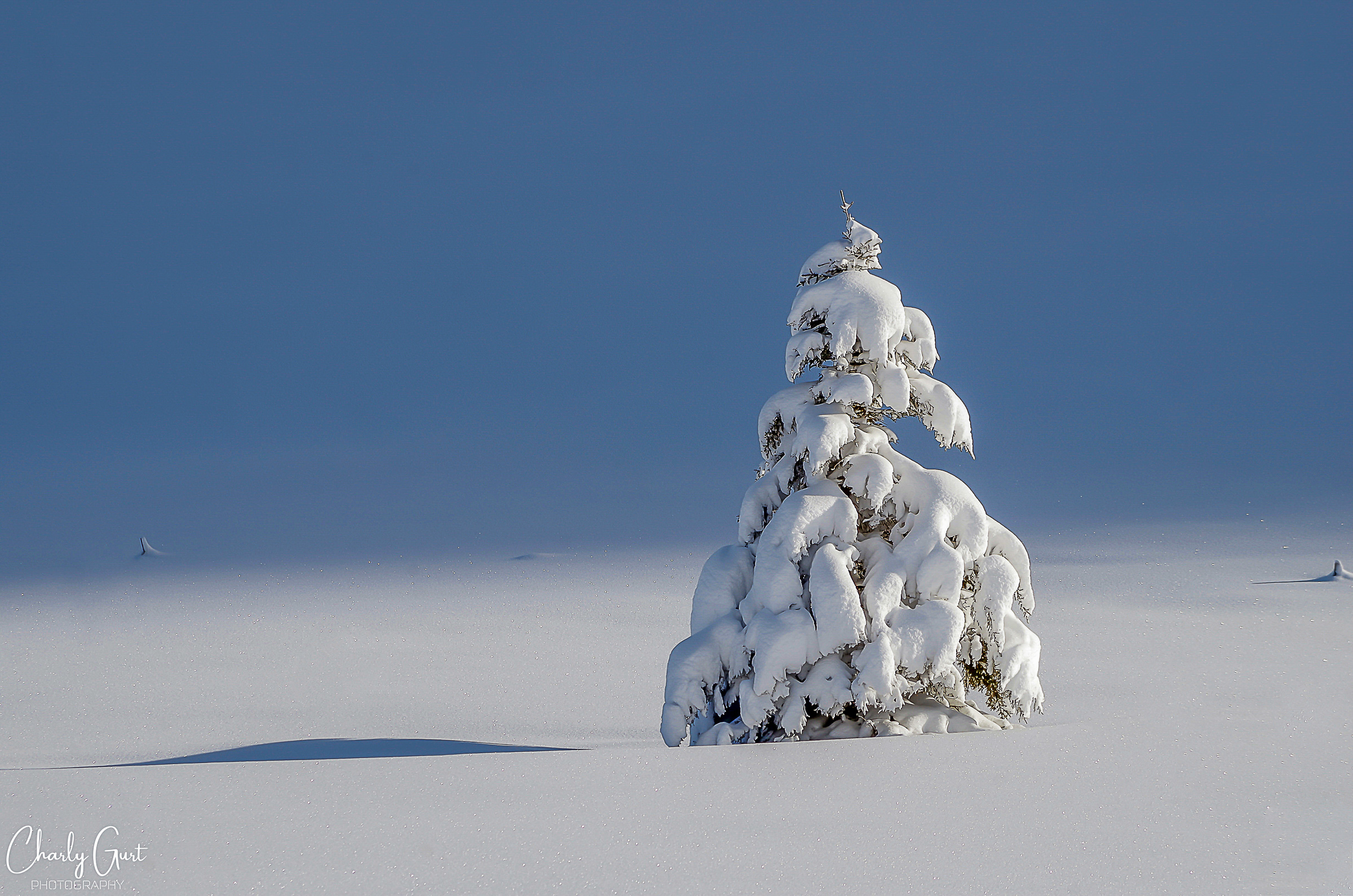 Winter- Zeit für Stille