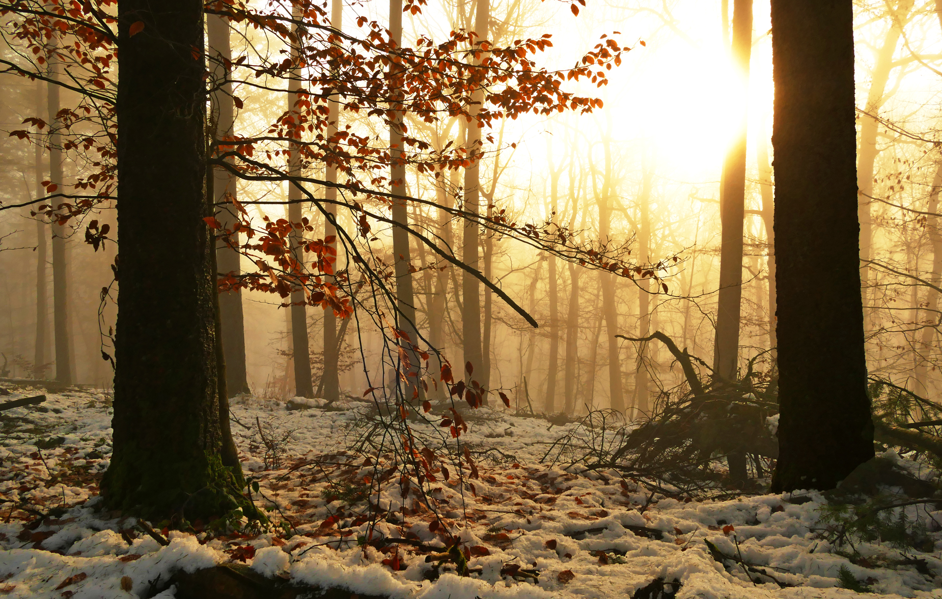 Winterliches Intermezzo im spätherbstlichen Antlitz....