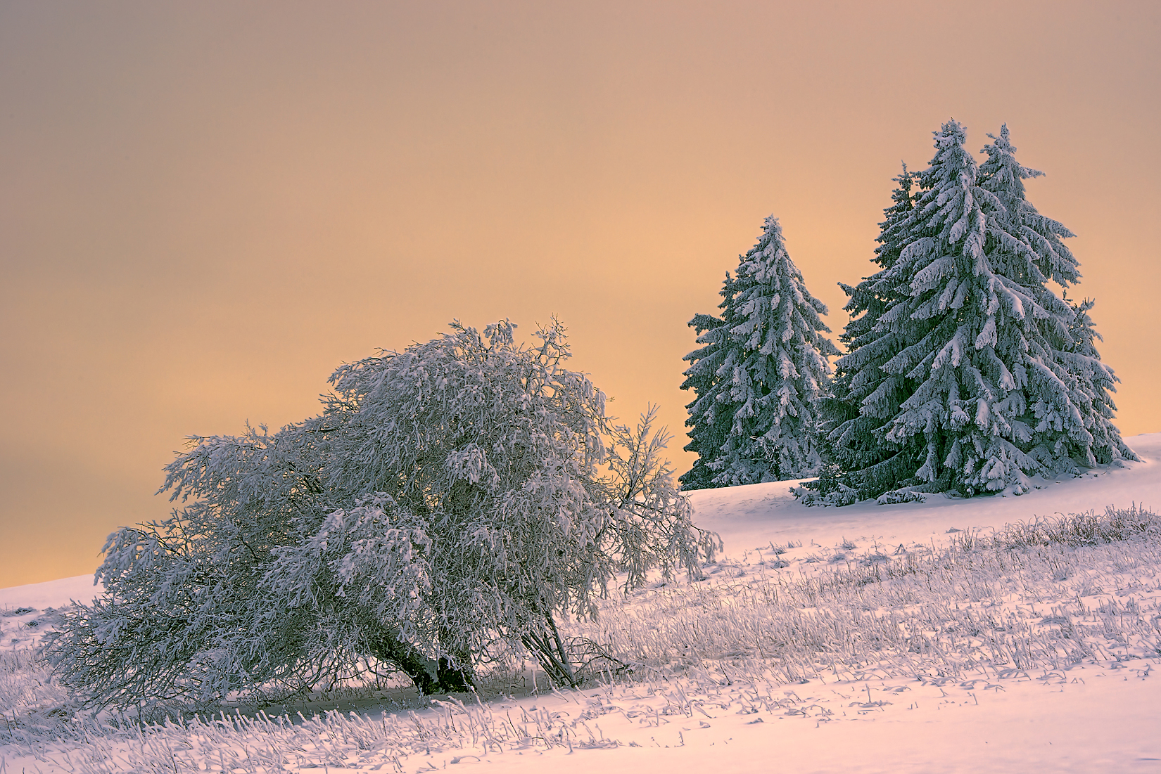 Winterliche Grüße ..