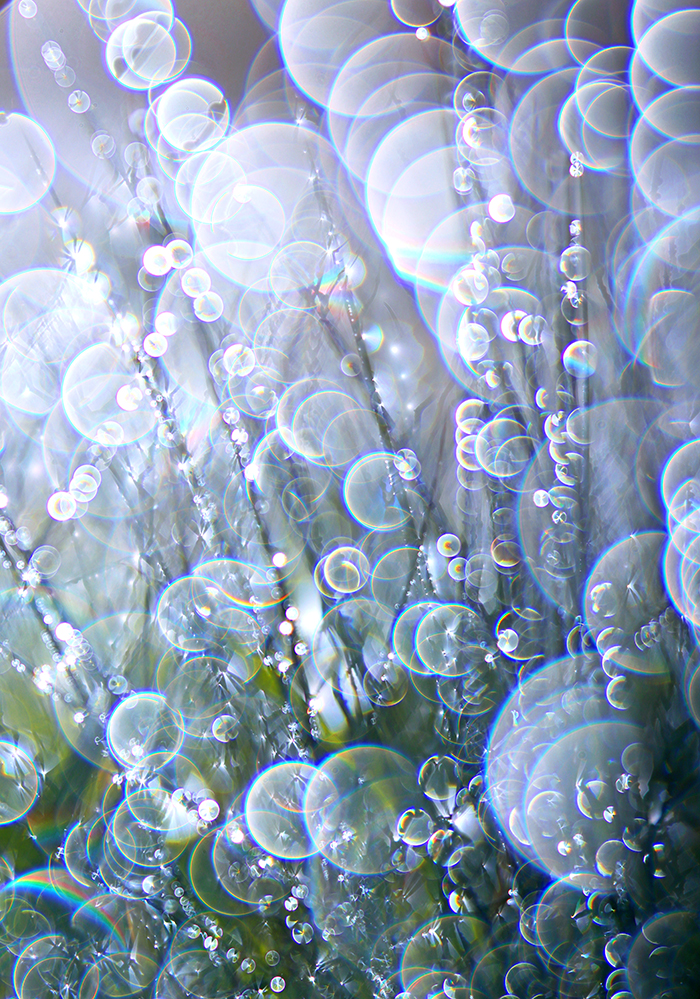 Bubble-World