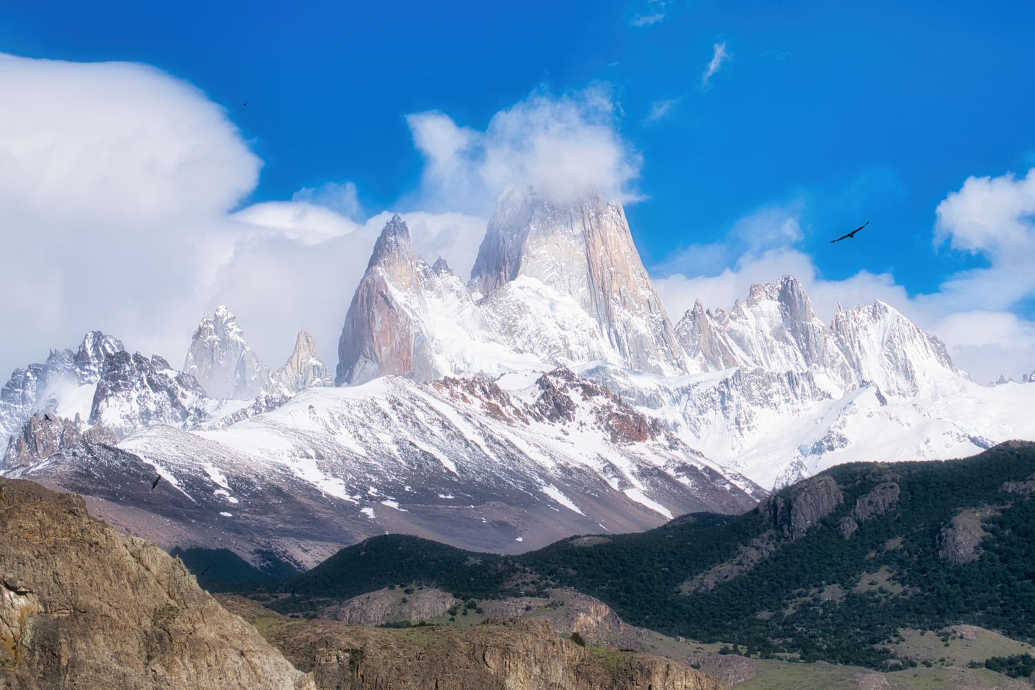 Fitz Roy mit 2 Kondoren