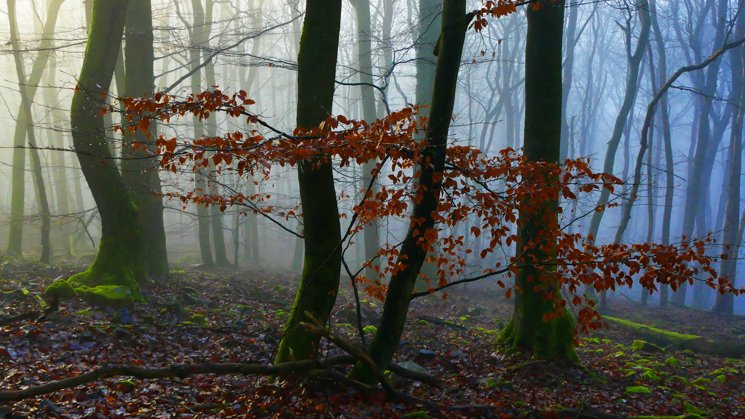 Zwischen Herbst und Winter....