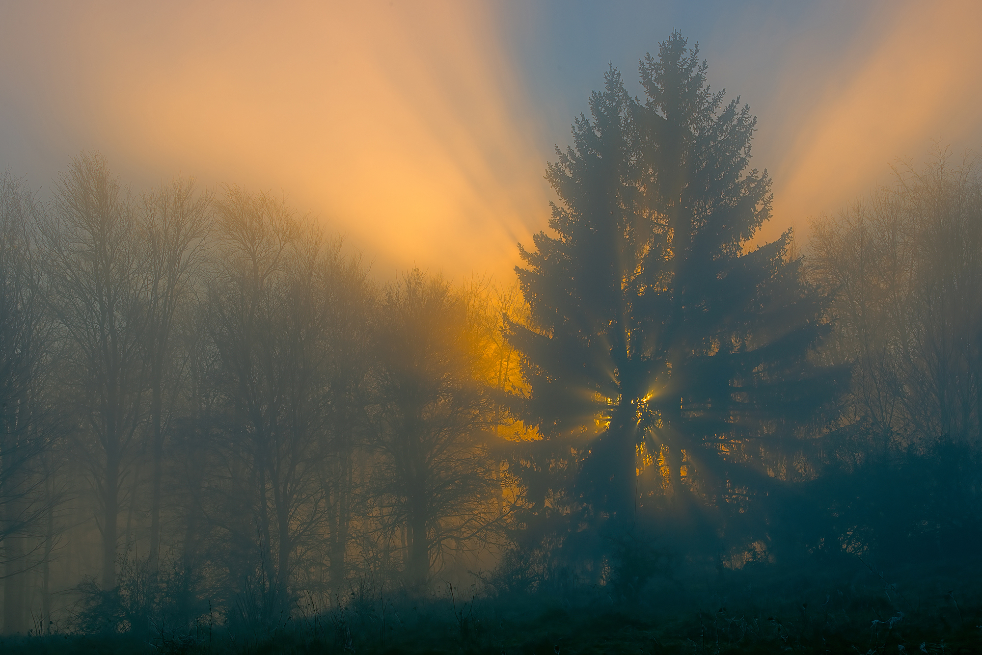 ... an der Nebelgrenze