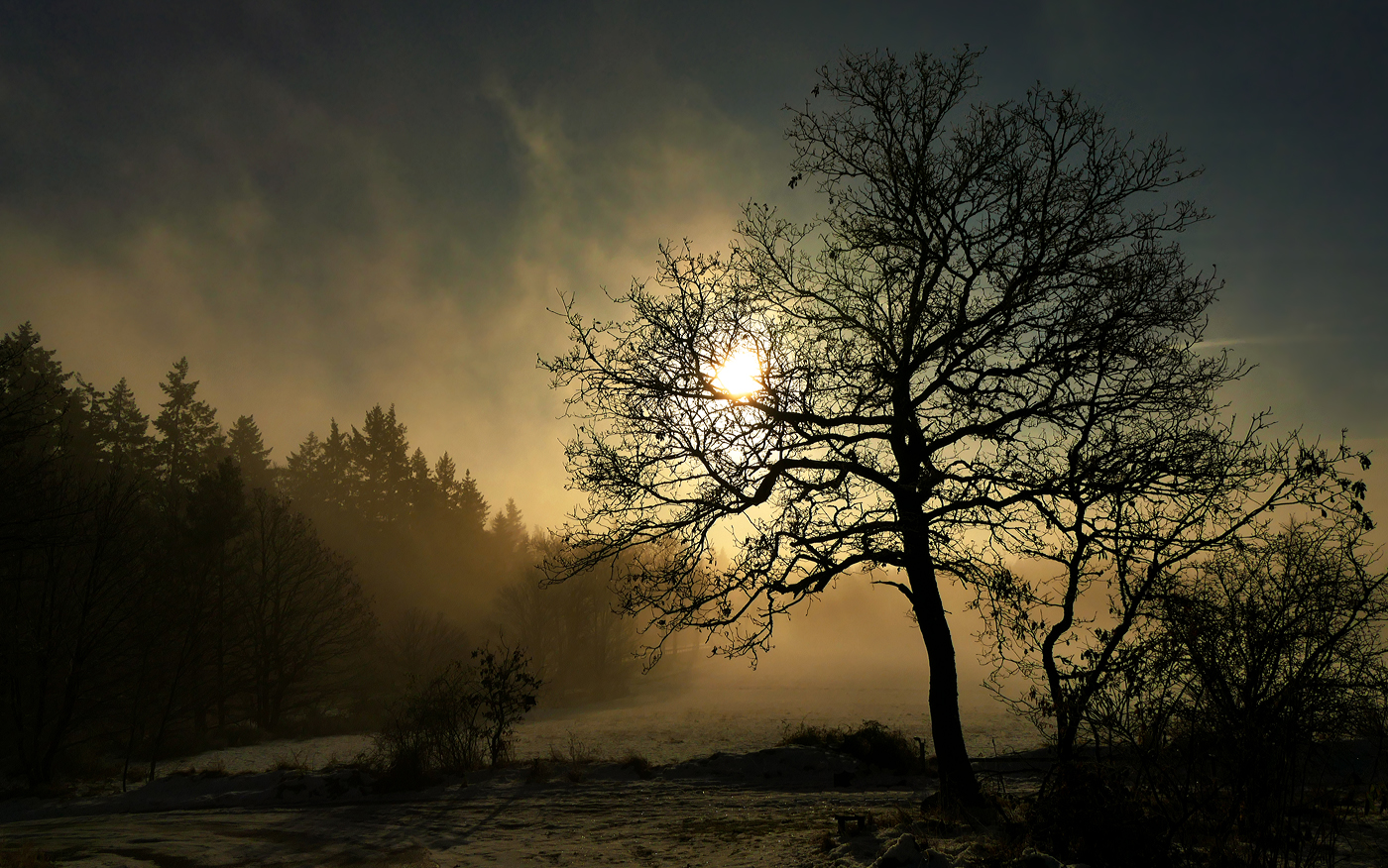 Silhouetten im Nebellicht