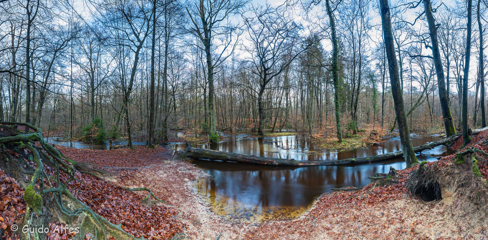 Rotbachaue Pano