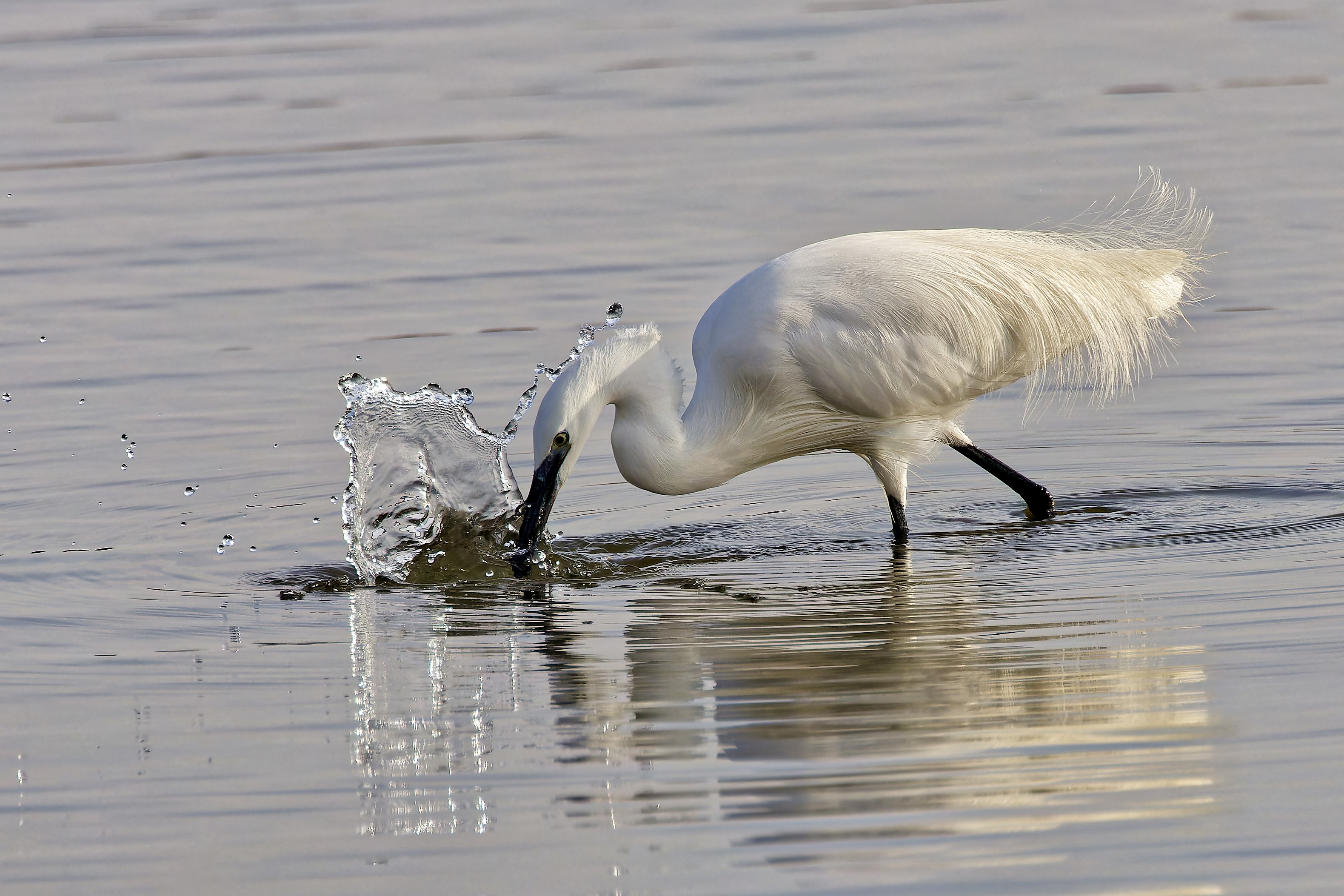 Wasserspiele