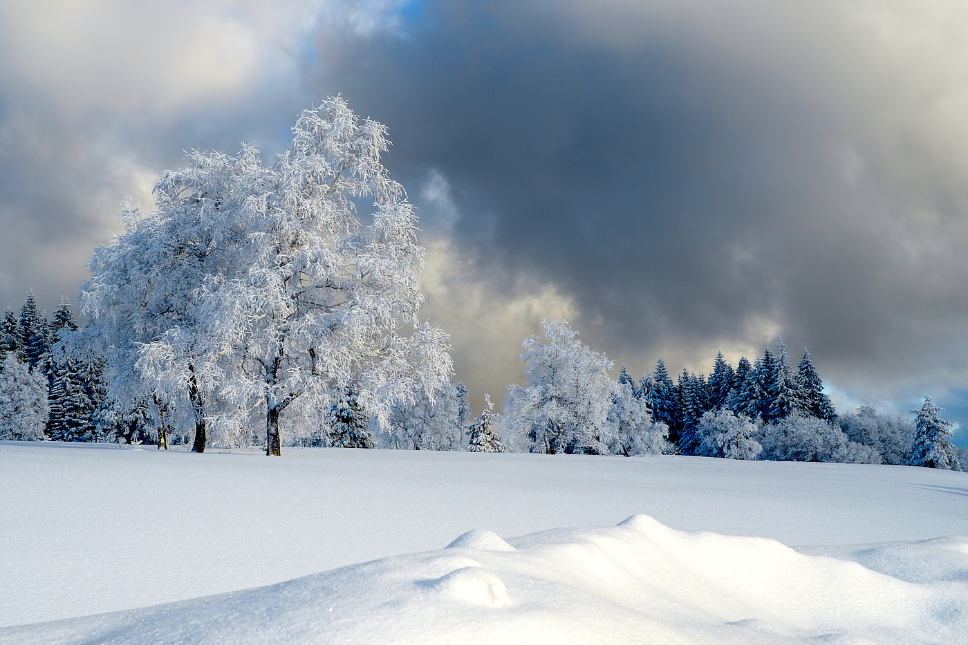 Winter Erinnerung