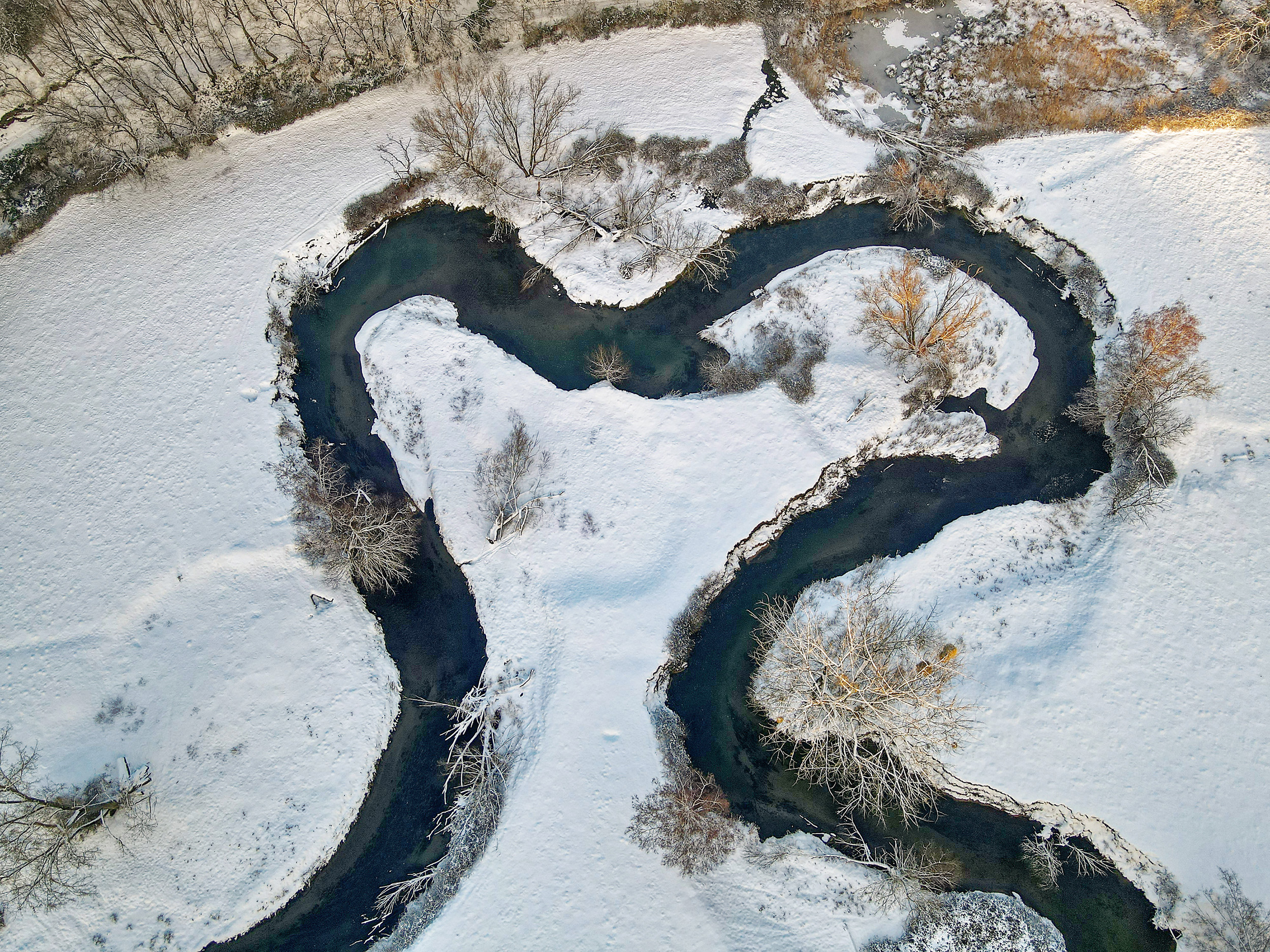 Ein Herz für den Winter