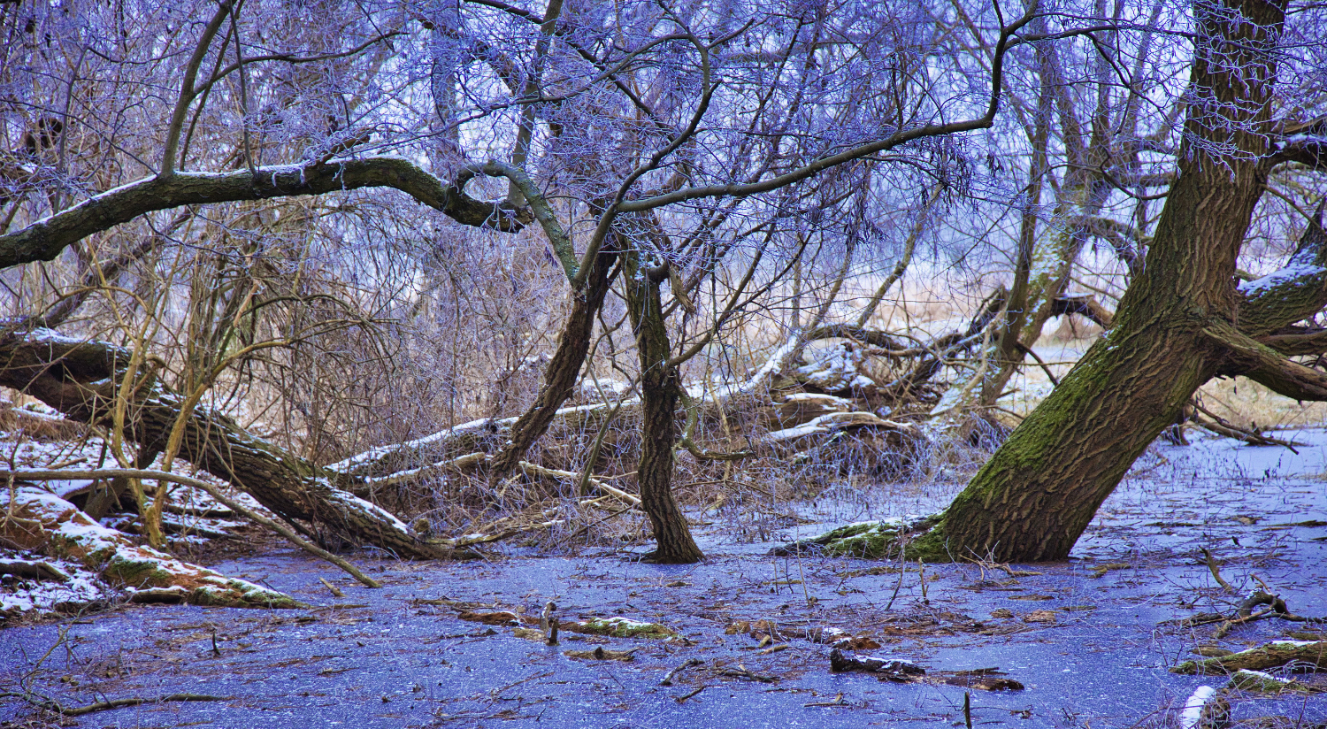 Eiszeit