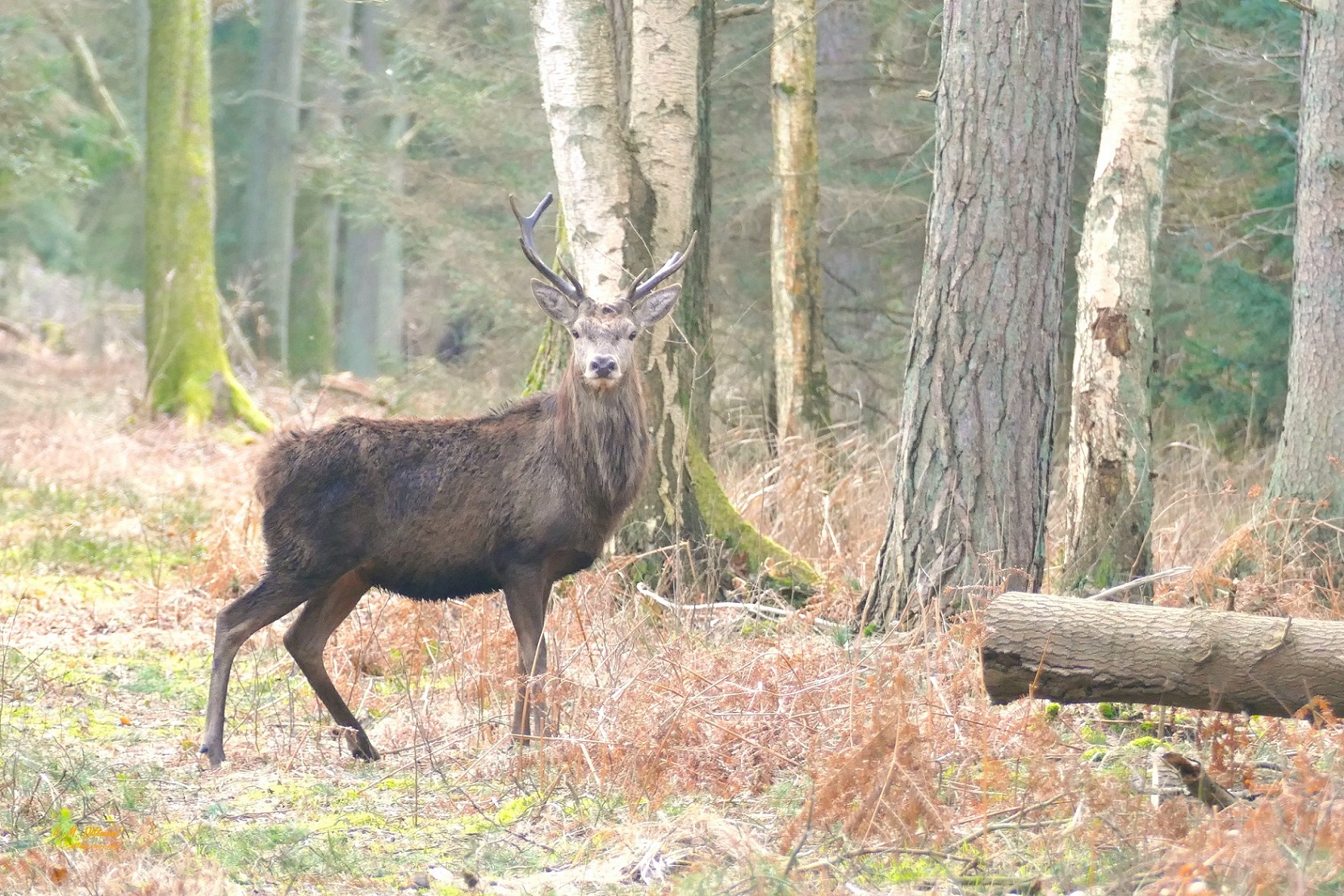 Einer ist neugierig