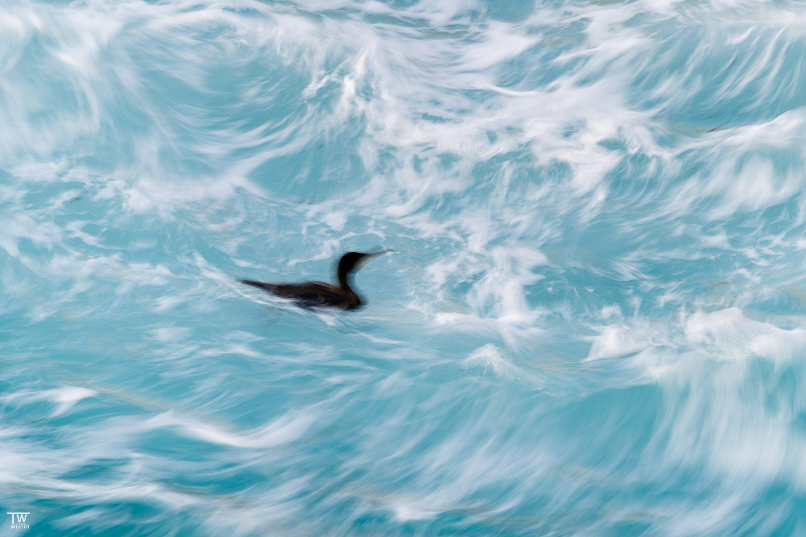 In Motion...
