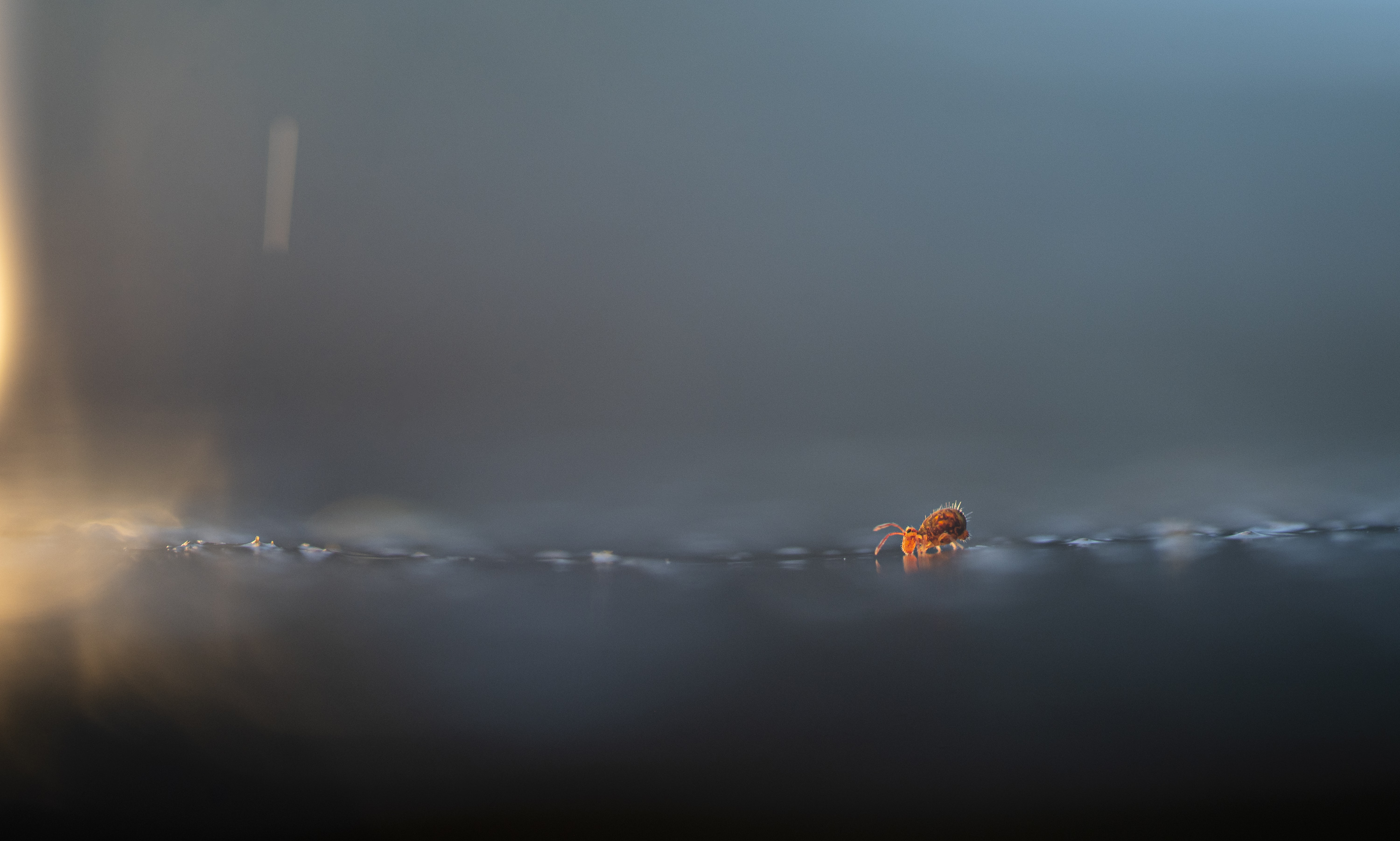____into the light________