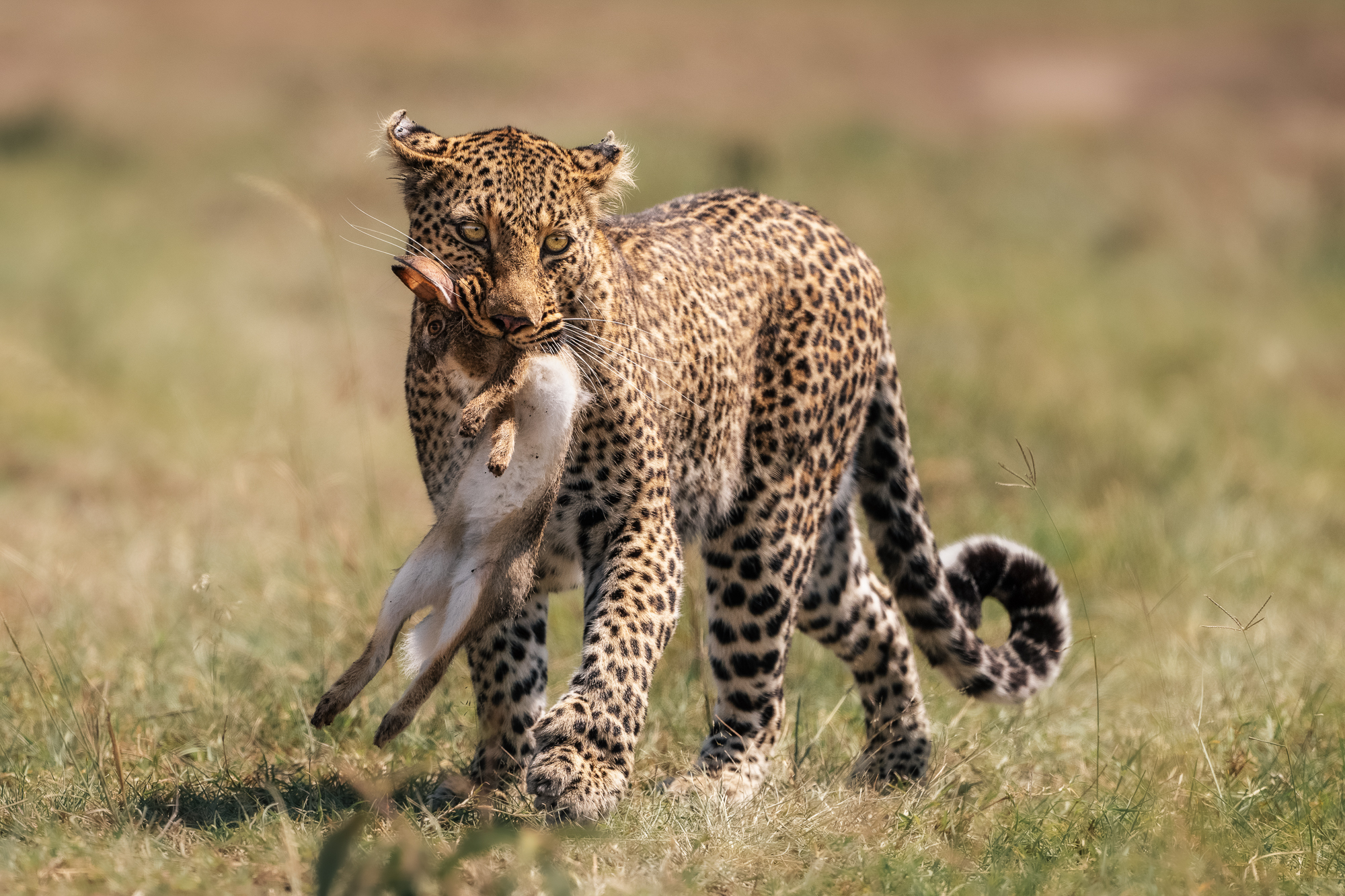 Bahati mit Beute