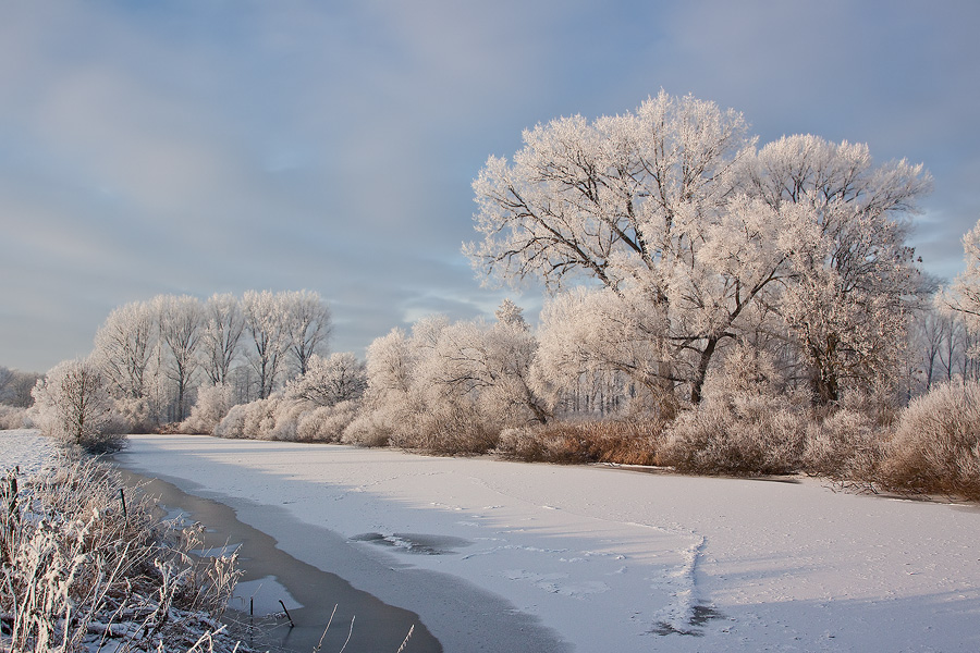 winterliche Emsaue