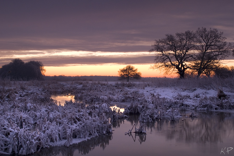 Wintermorgen