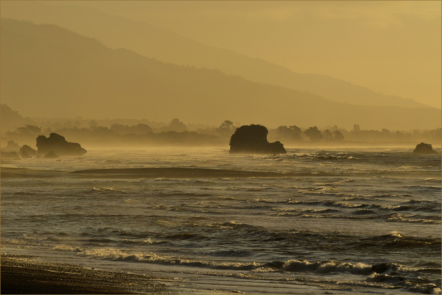 Magic New Zealand