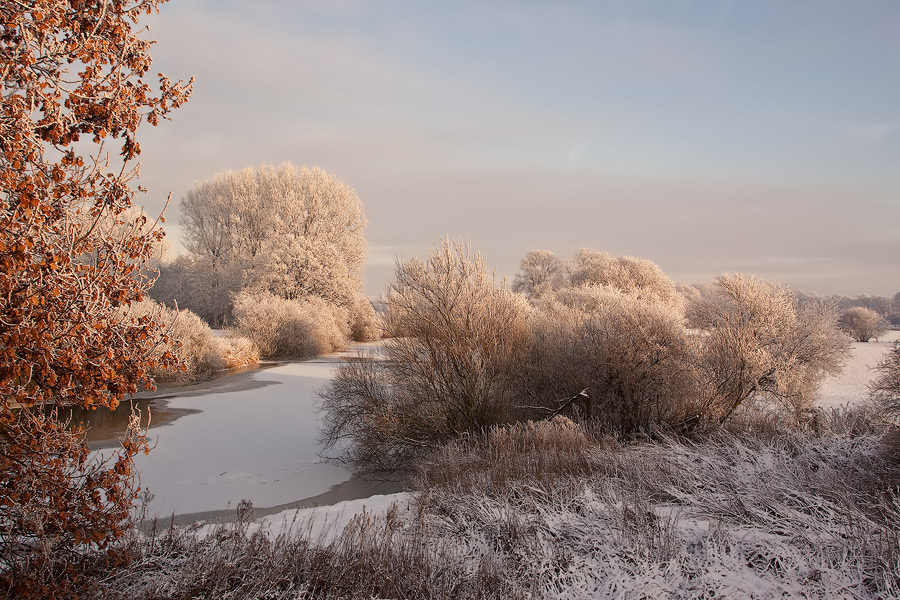 Winter an der Ems