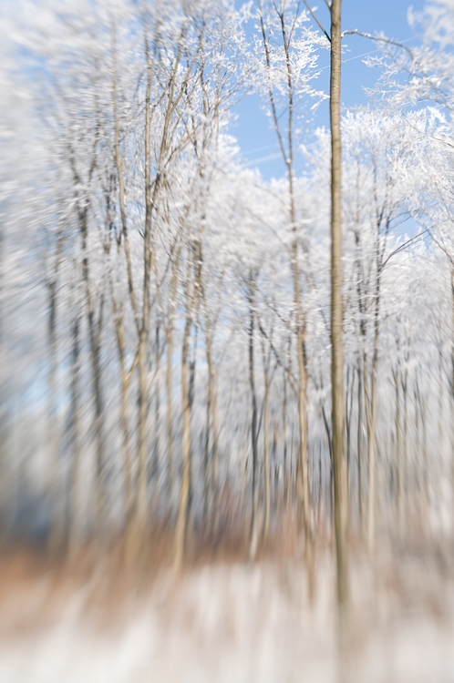 Winterwald, Lensbaby