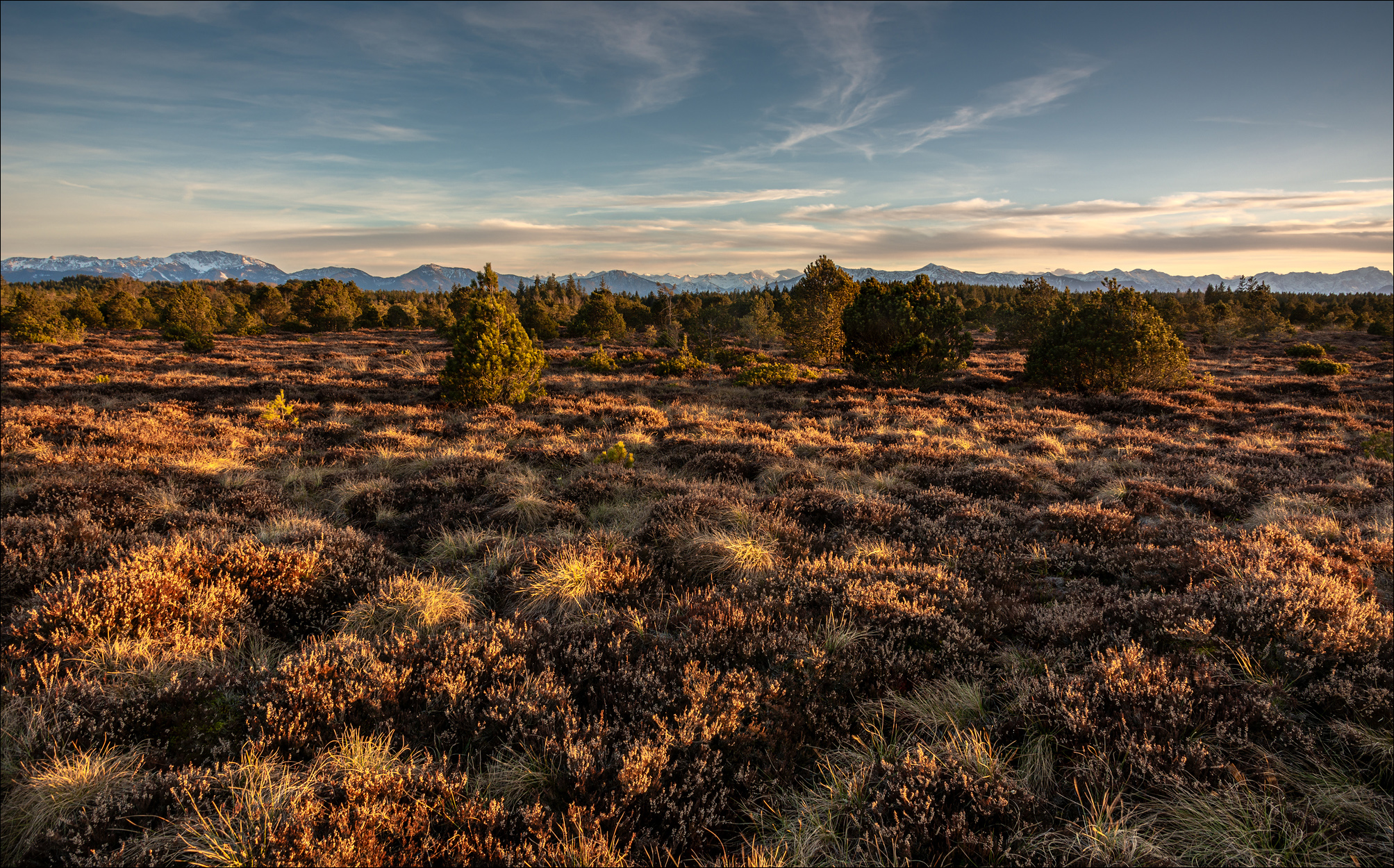 Hochmoor mit Bergblick II