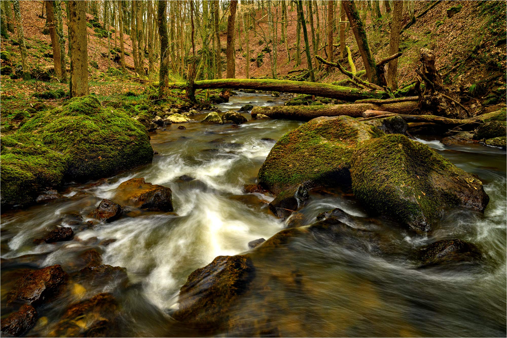 Alfbach - mal wieder :-)