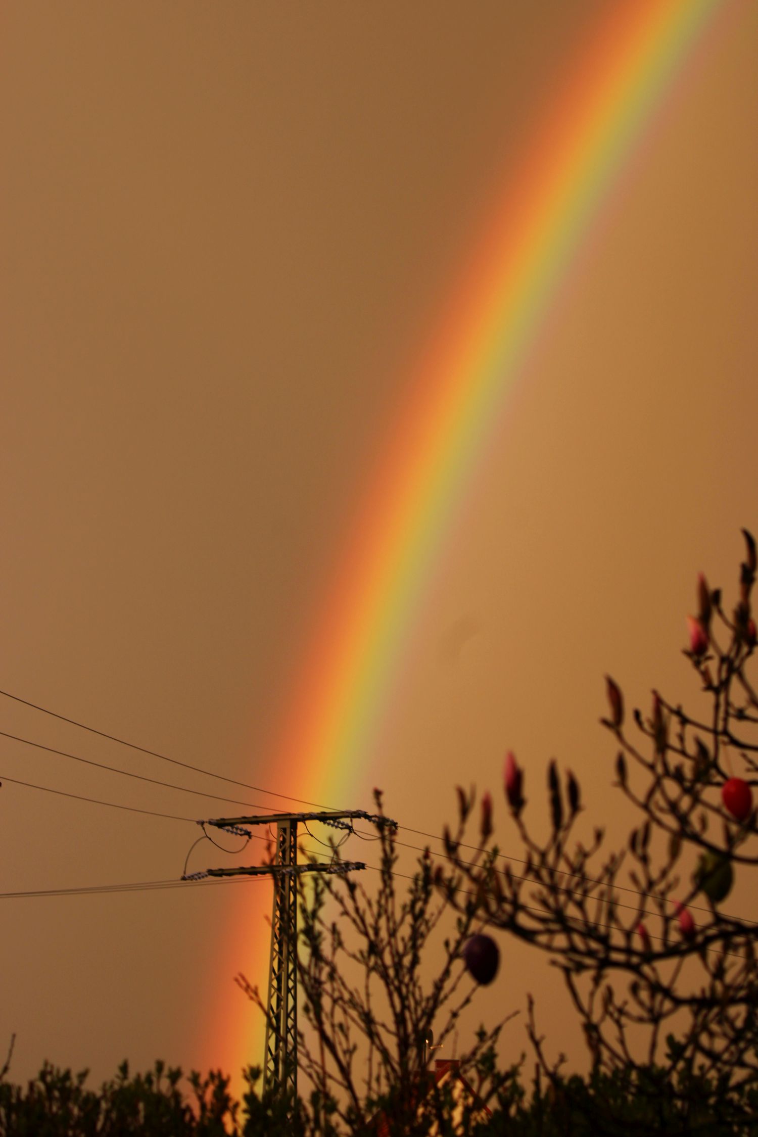 Regenbogen bei Sahara-Staub