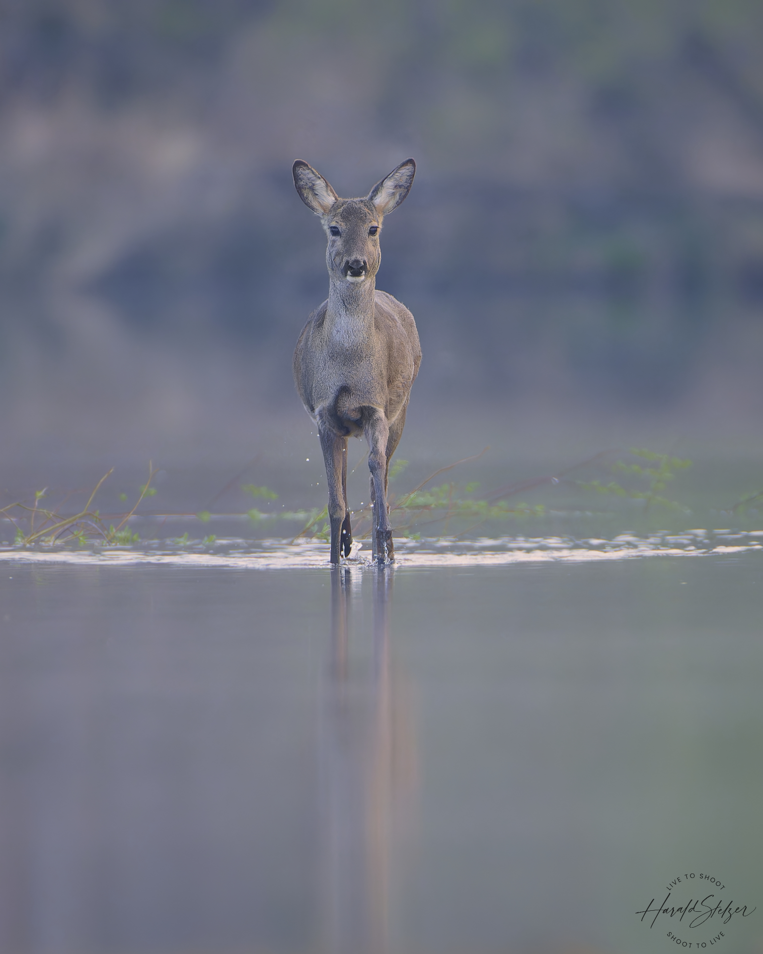 Blick übers Wasser