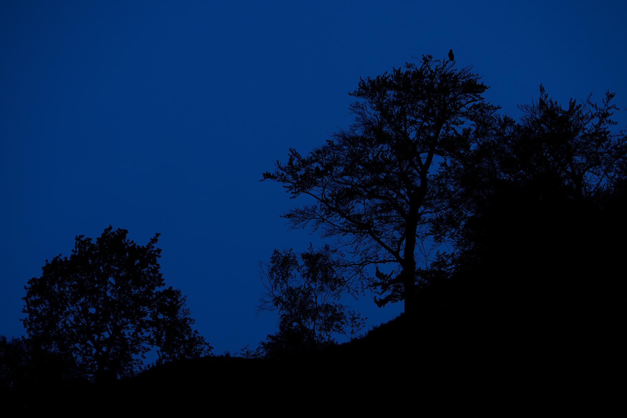 blaue Stunde
