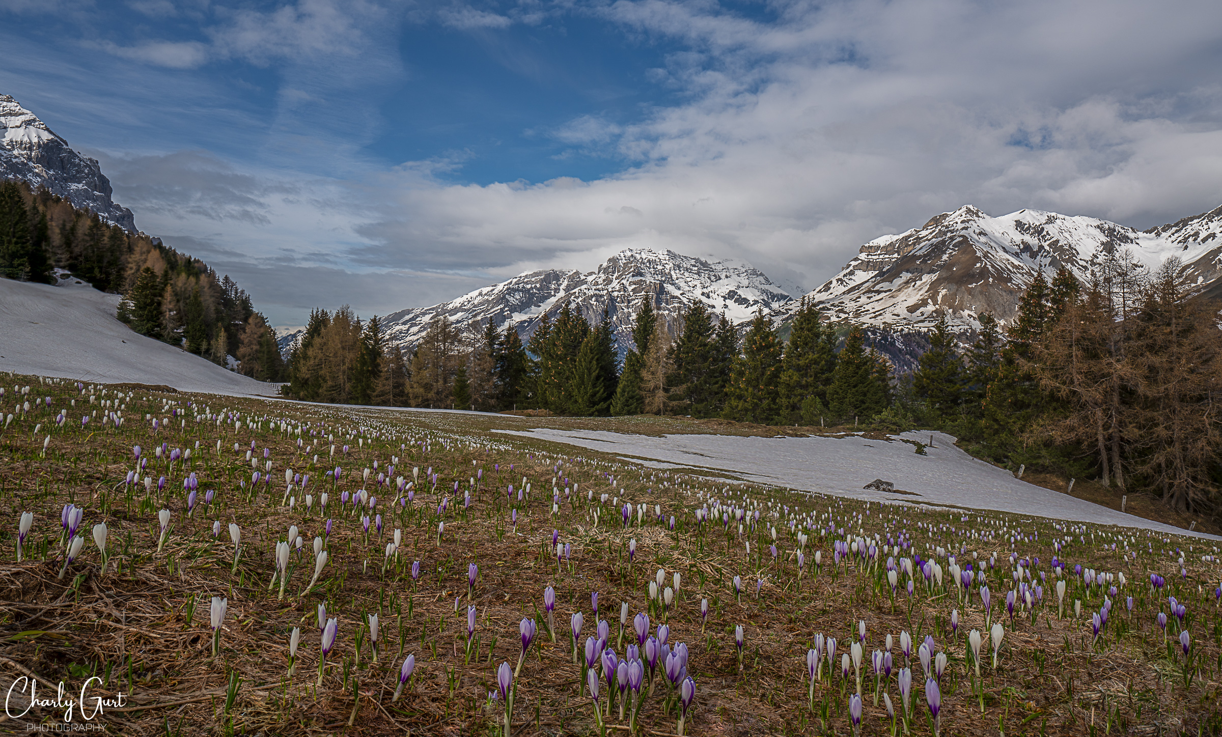 Die stille des Bergfrühling