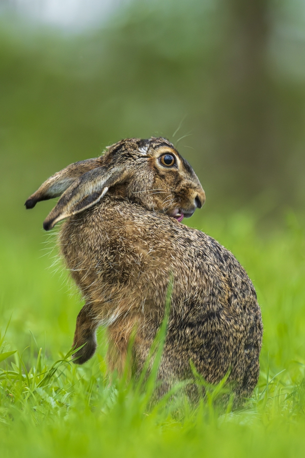 "...sich hübsch machen..."