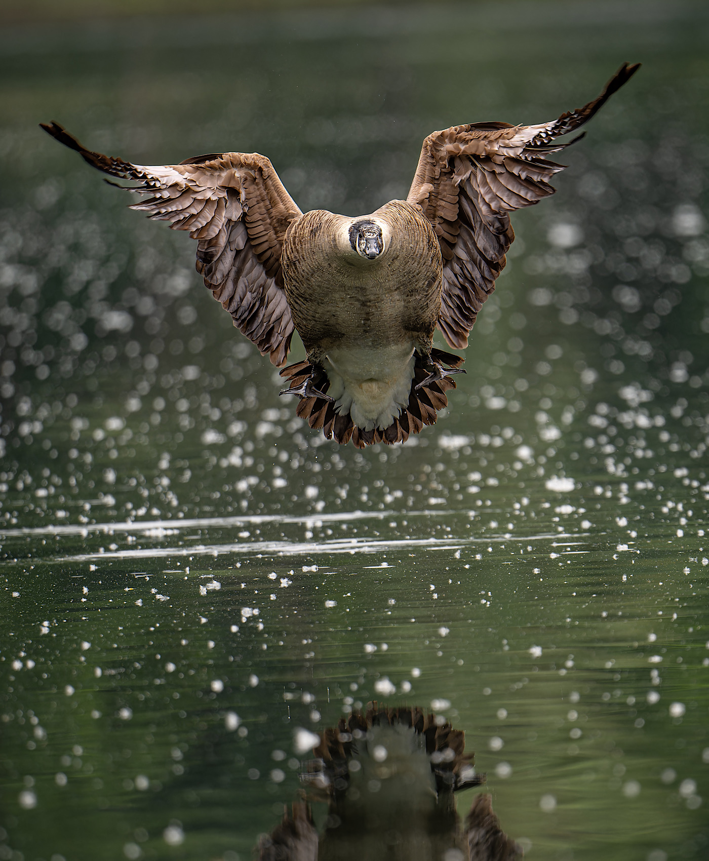 Anflug!